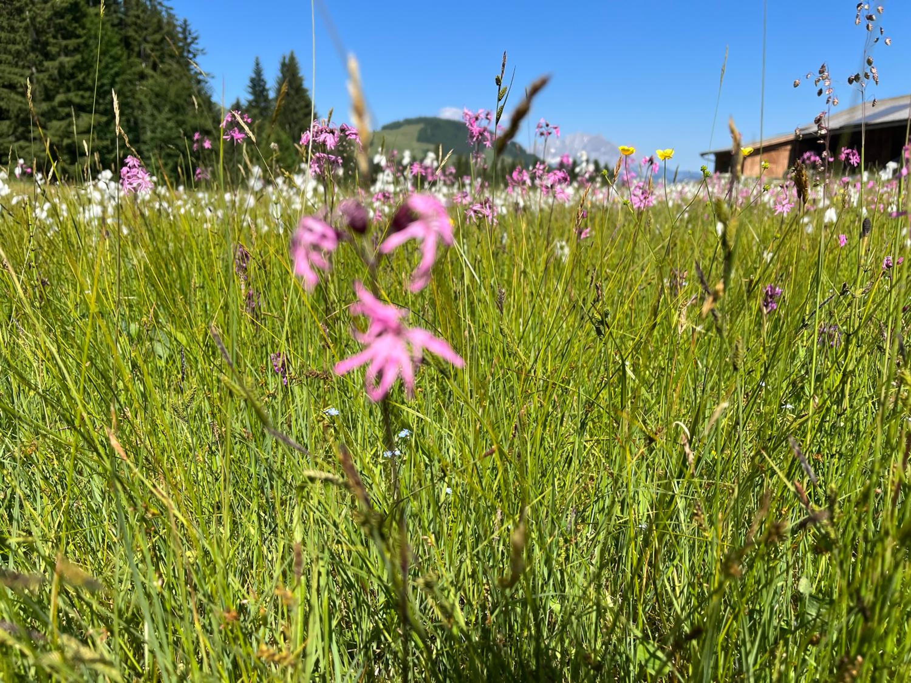 Bioberghof Rohr