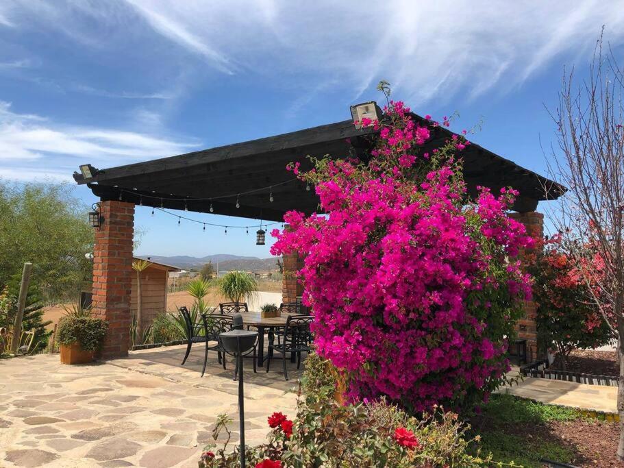 Suite Romántica Valle de Guadalupe Pool & BBQ view 2