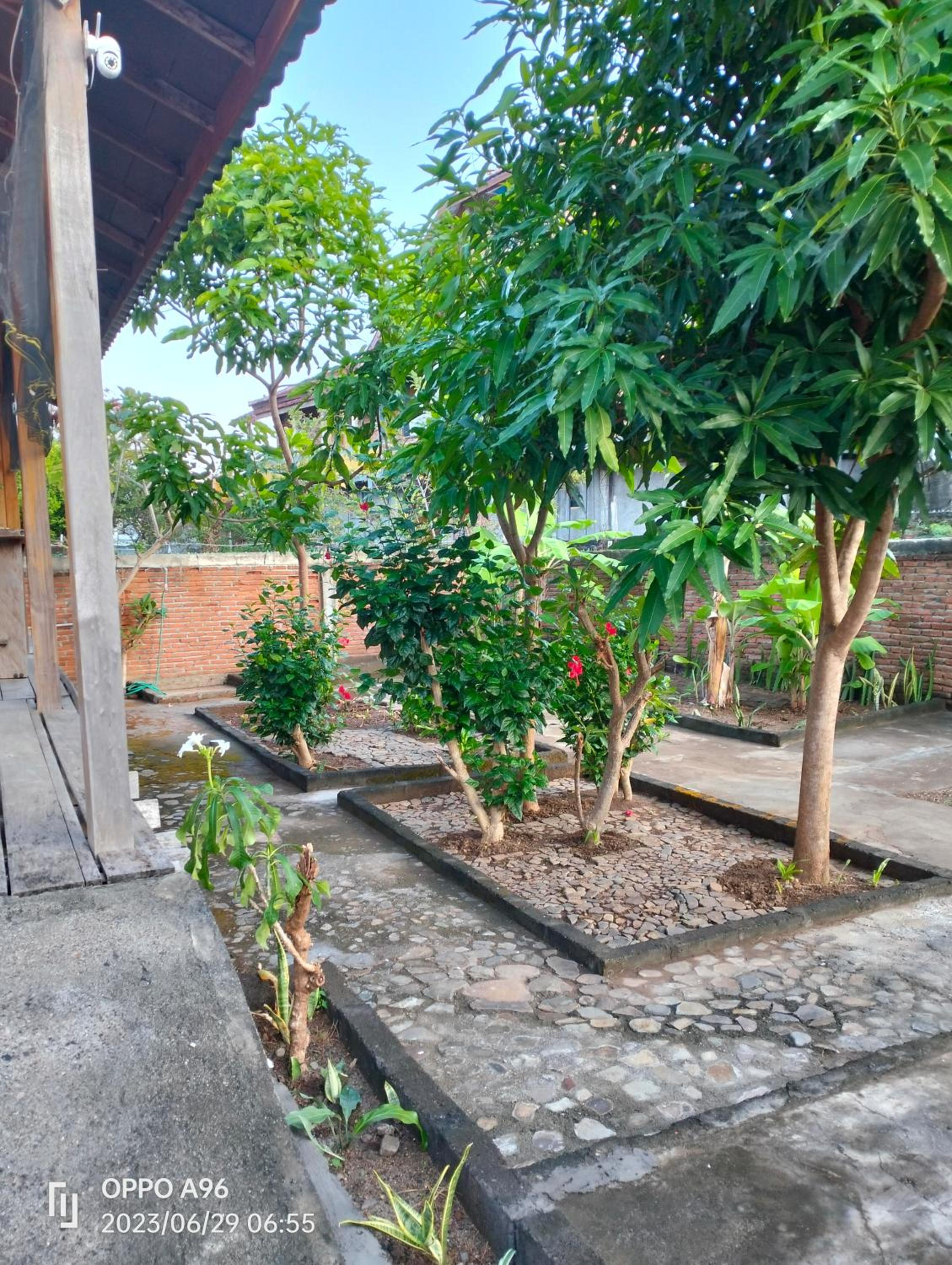 Photo 43