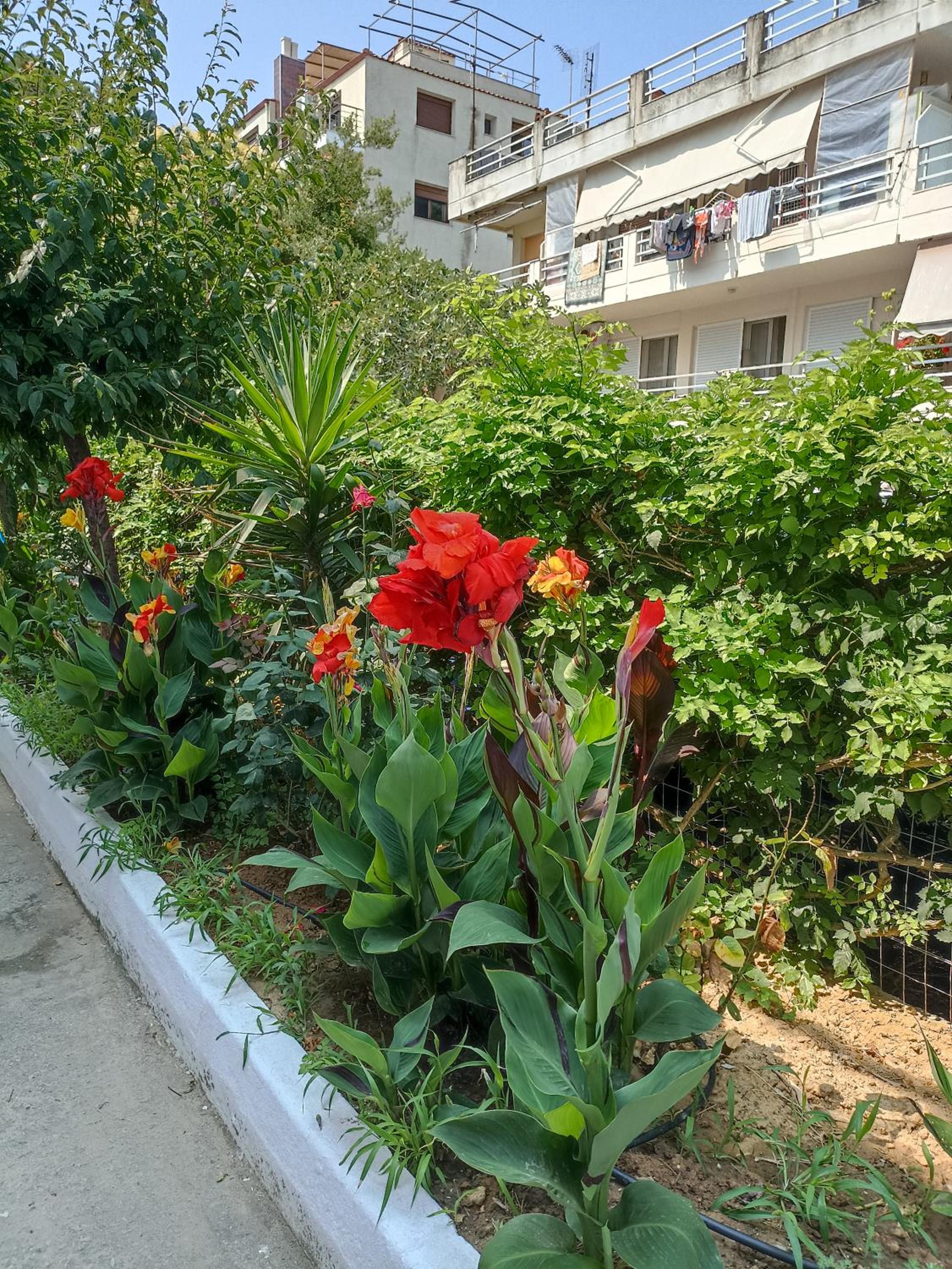 Helena's Apartment 2 Agia Triada view 5
