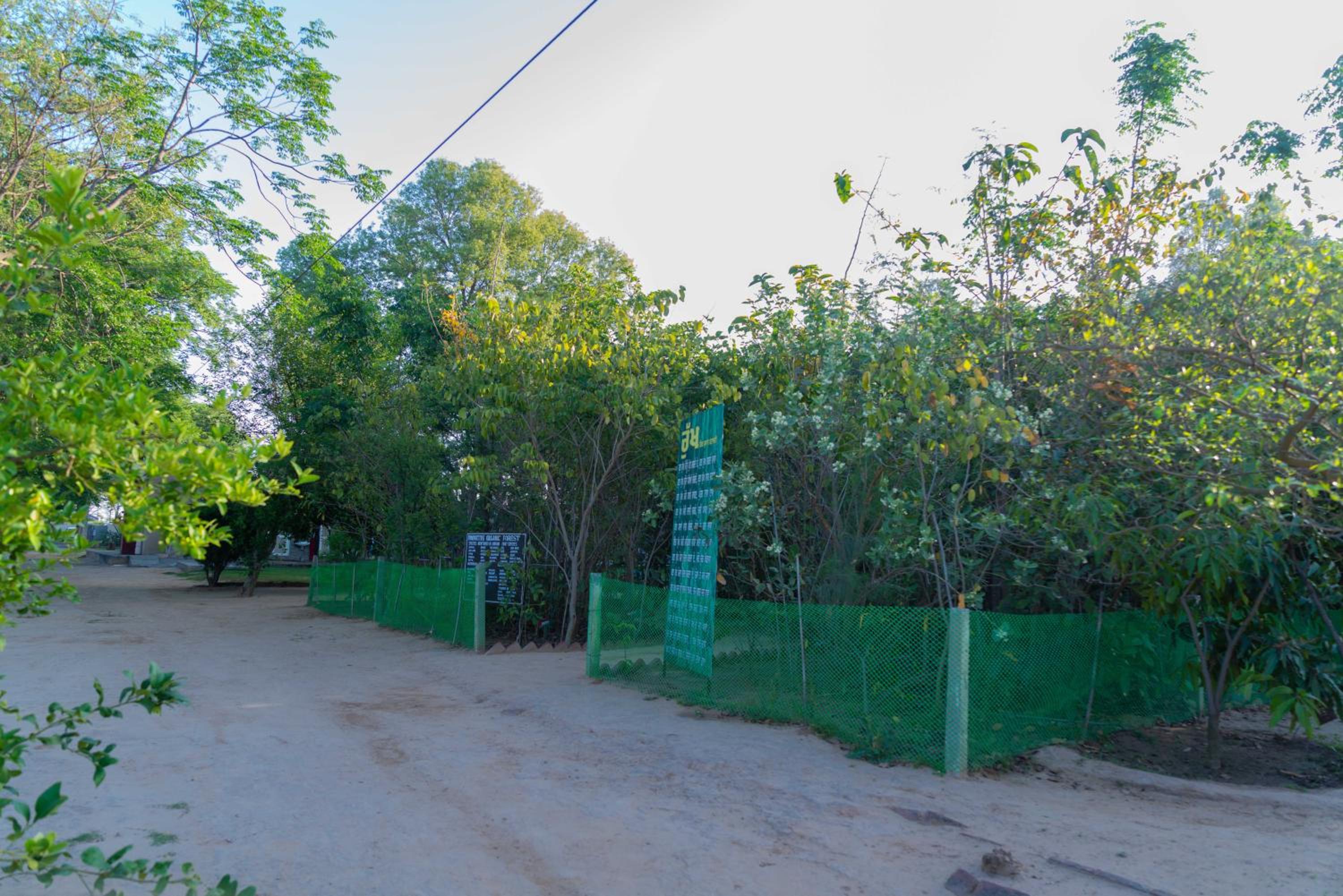 Inno Farms