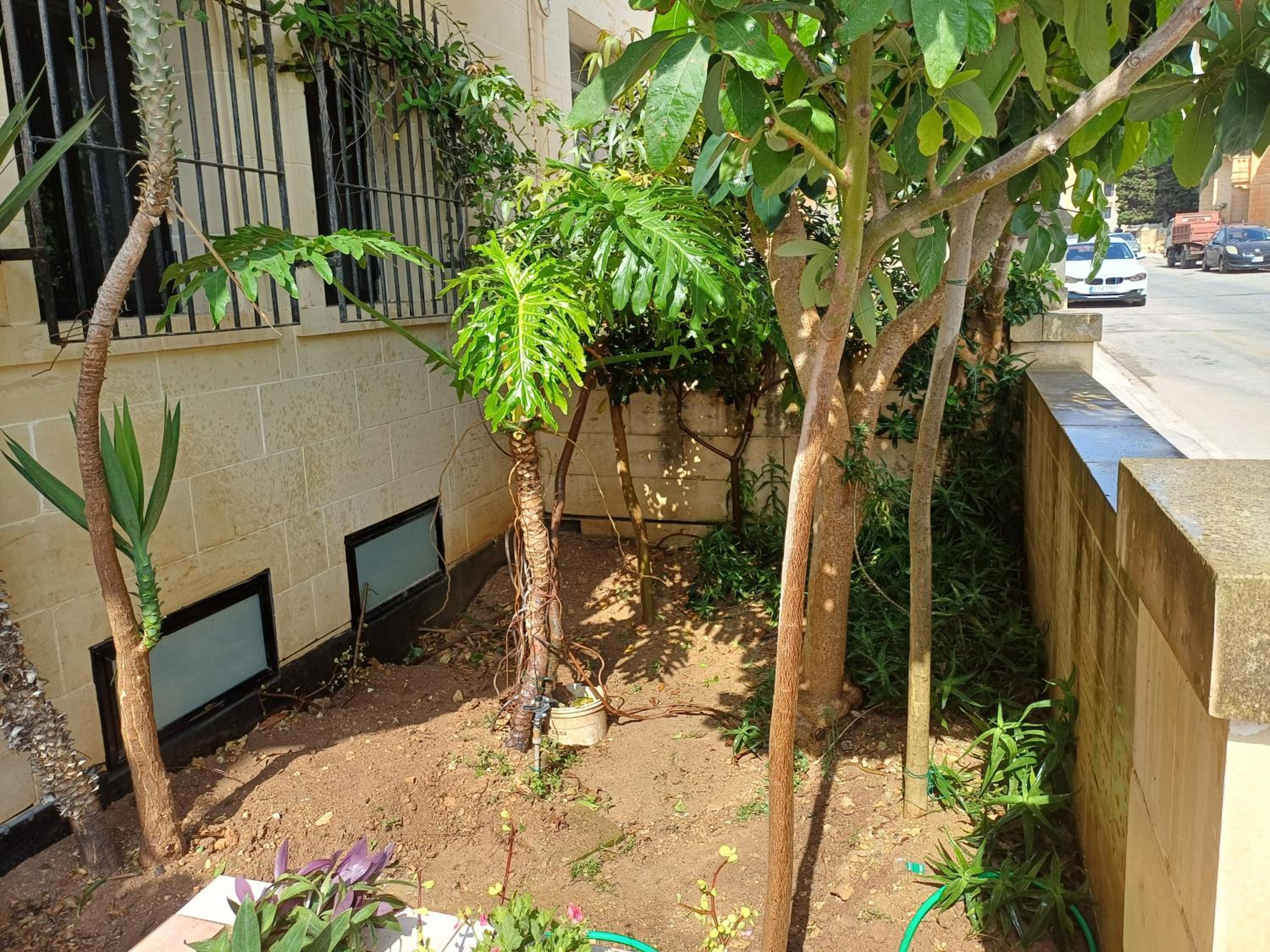 Photo 8