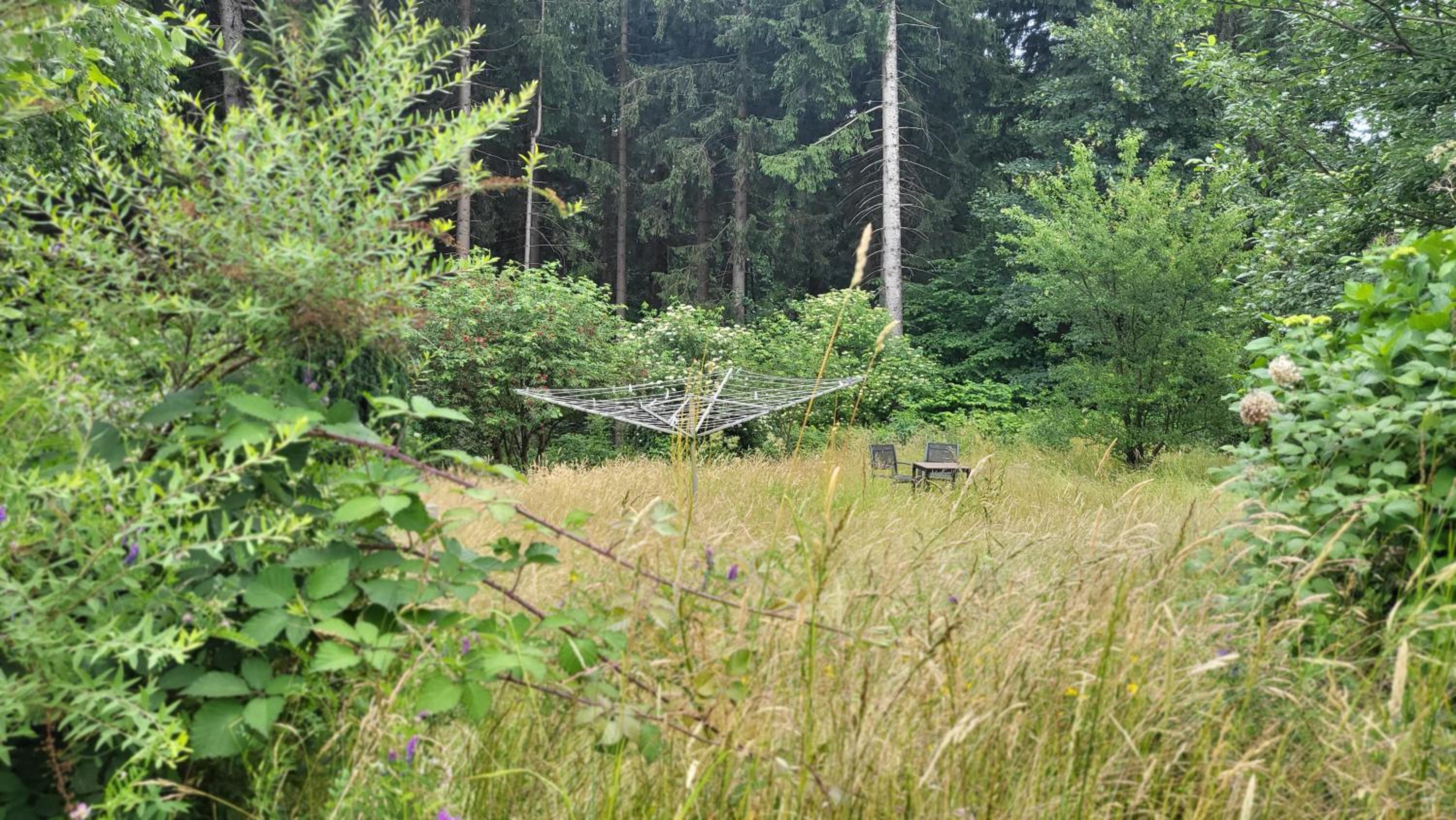 Hahnenklee Harz