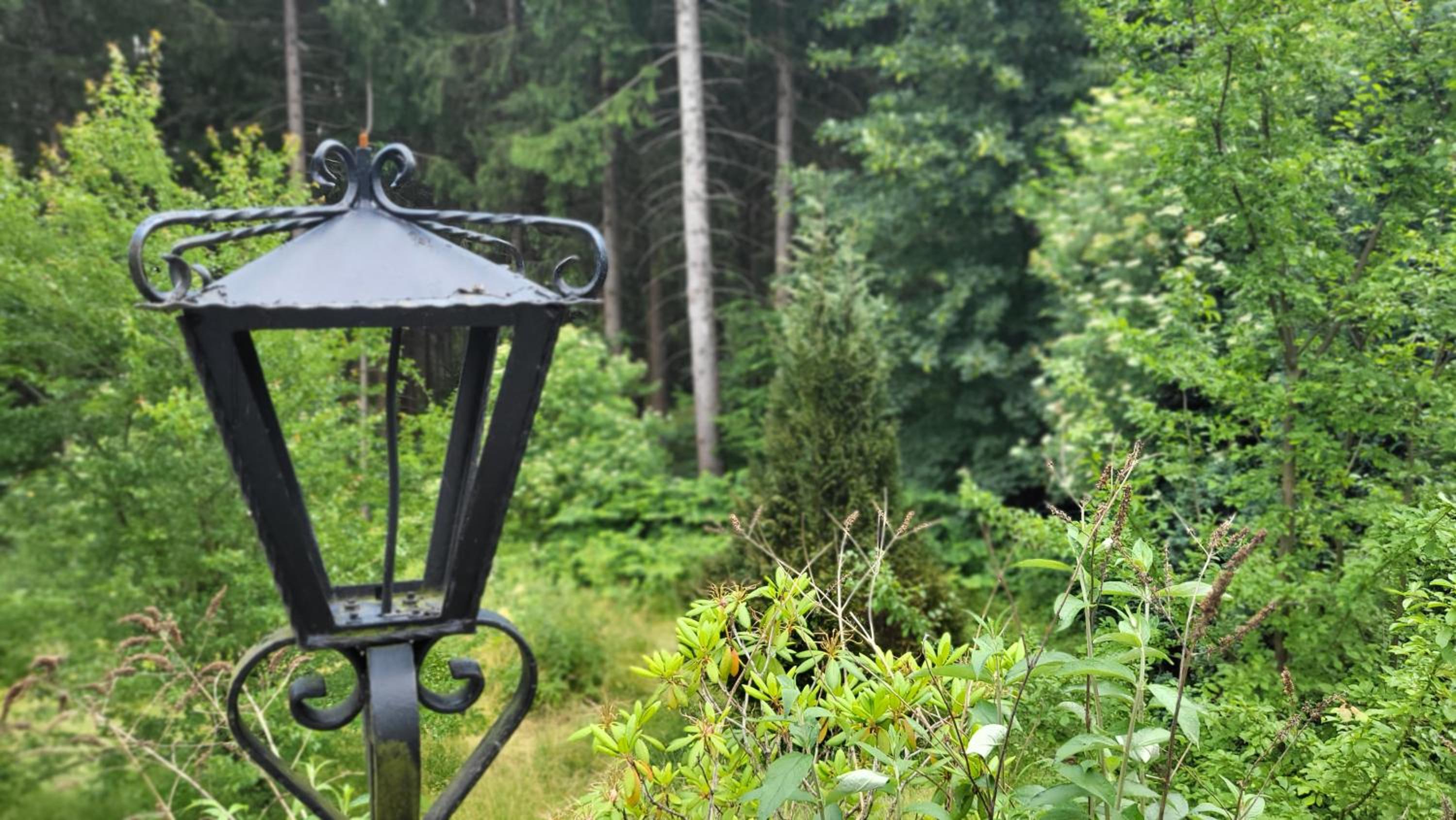 Hahnenklee Harz