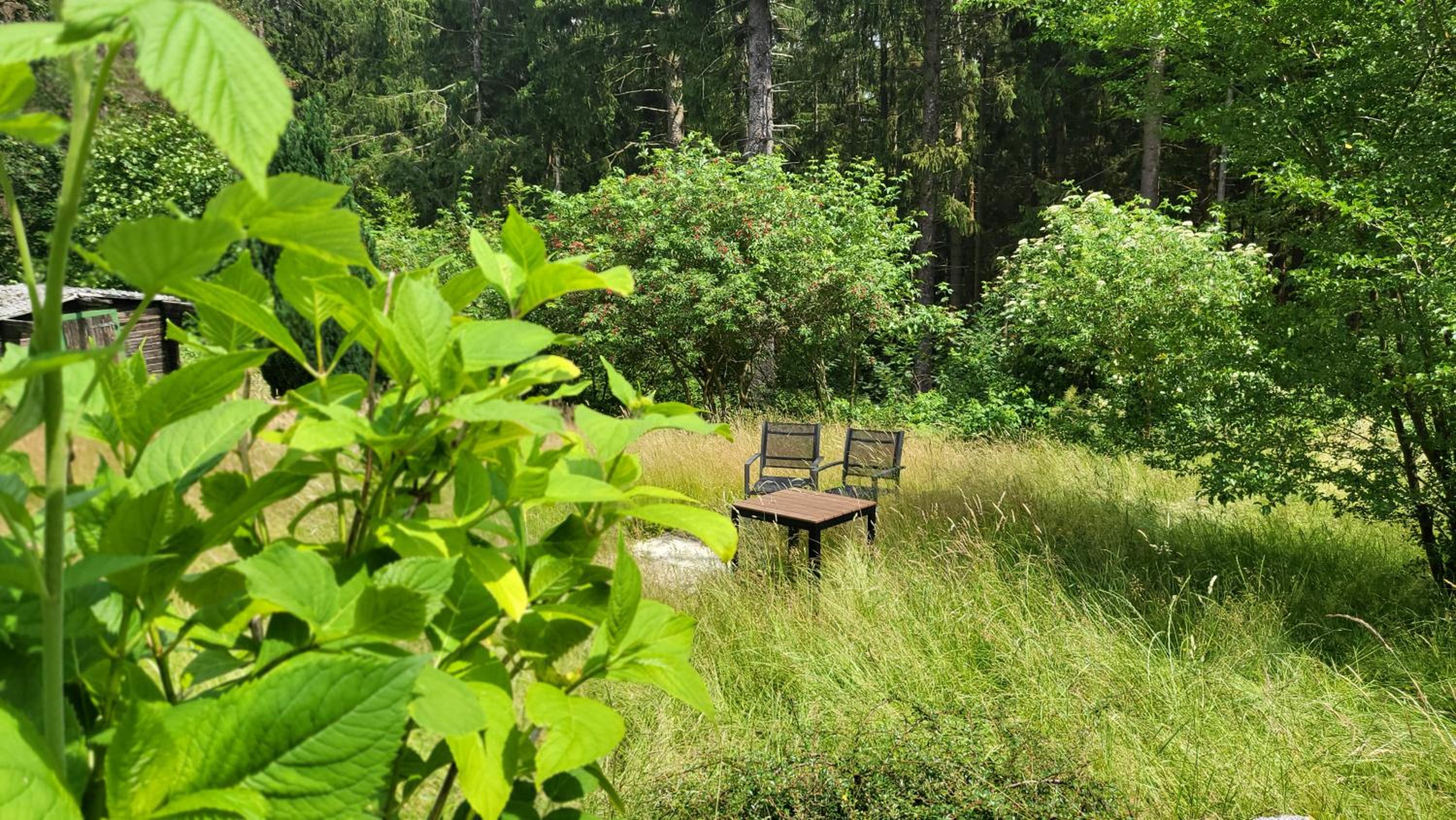 Hahnenklee Harz