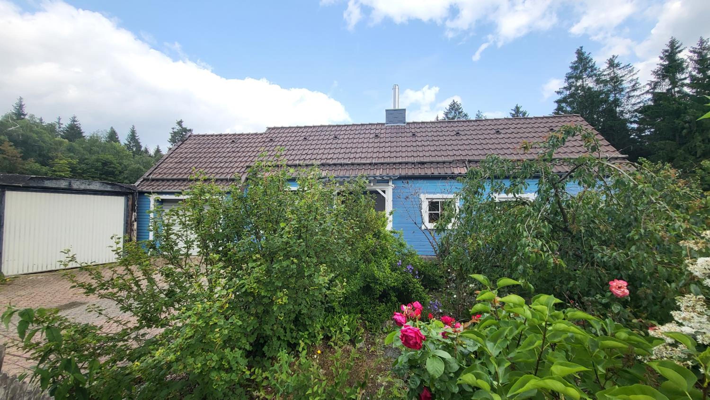 Hahnenklee Harz