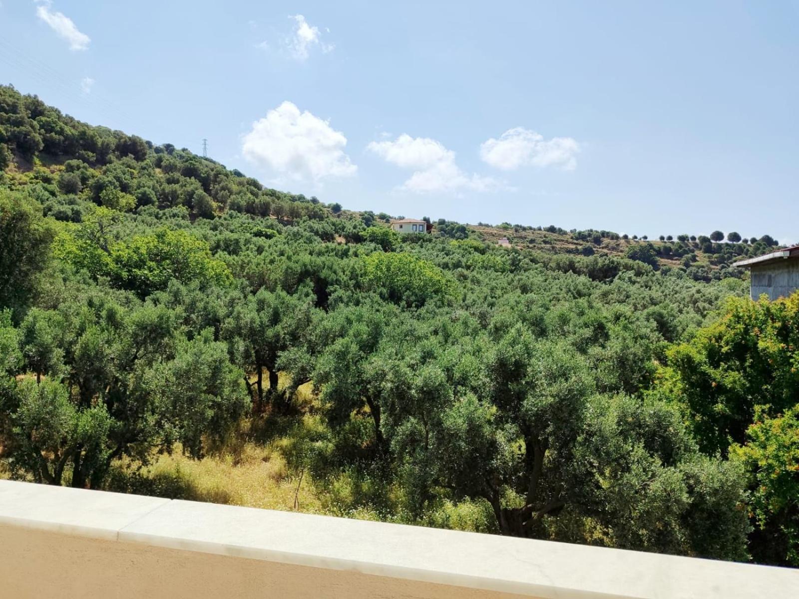 Murat Kaptan Apart Otel