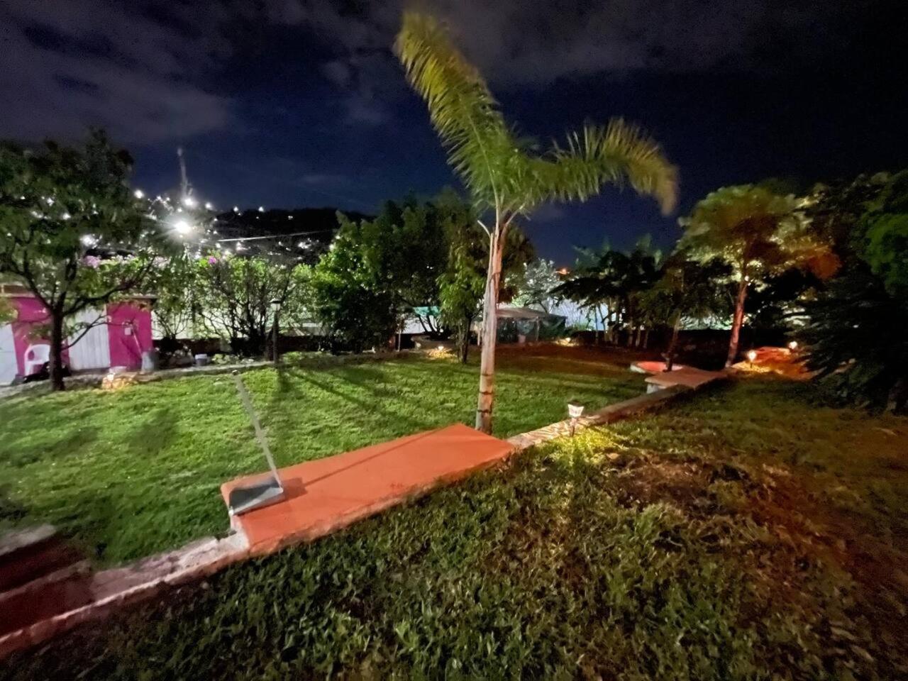 Photo 25