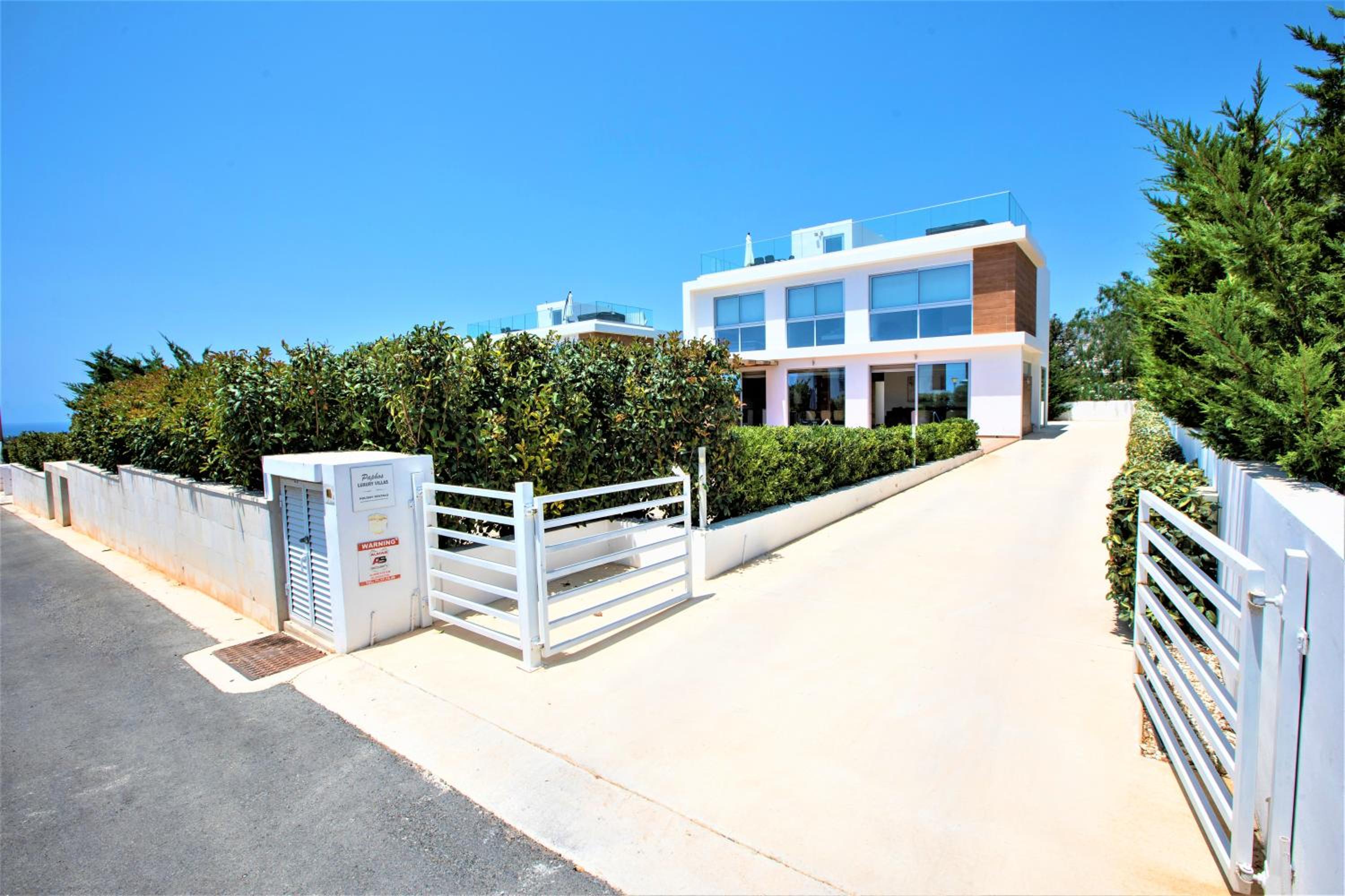 Photo 42