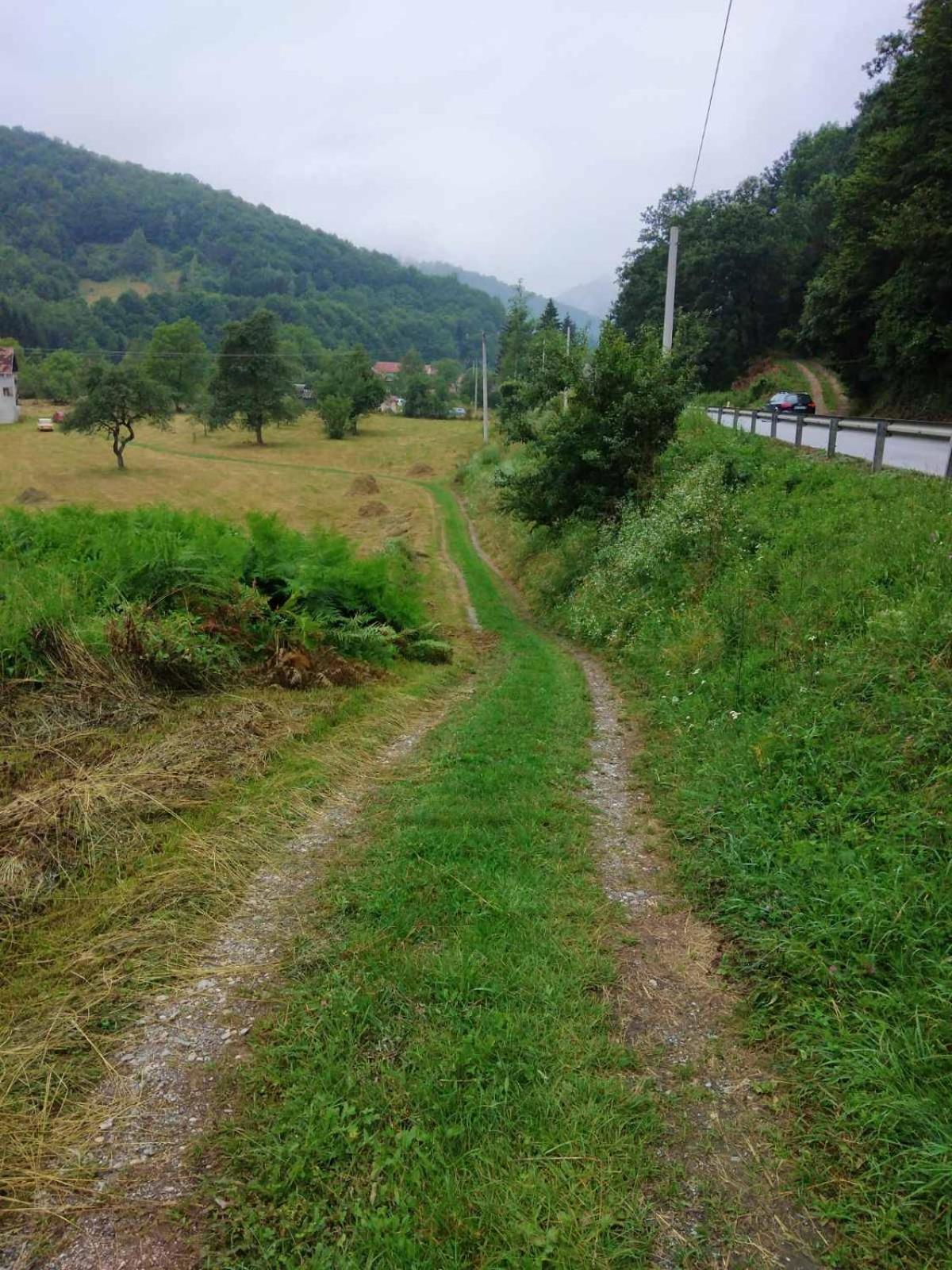 Photo 29