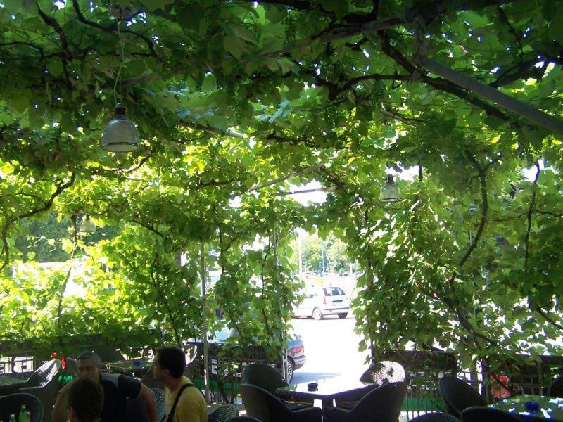 Guest House Ivac Inn Zagreb Airport