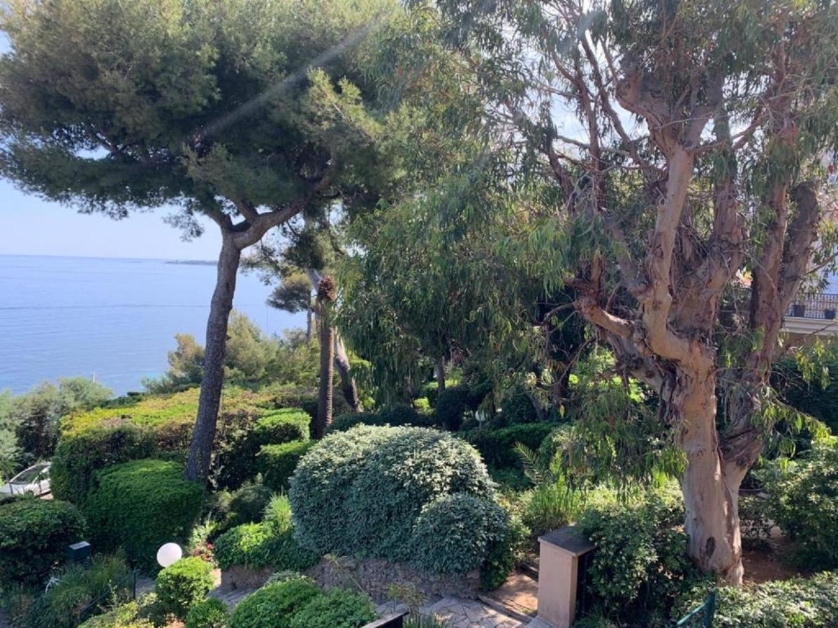 Villa Cannes directly on the sea photo 2