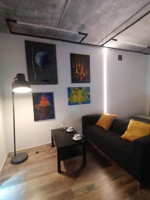 Erdvi studija Spacious studio apartment Self check in view 5