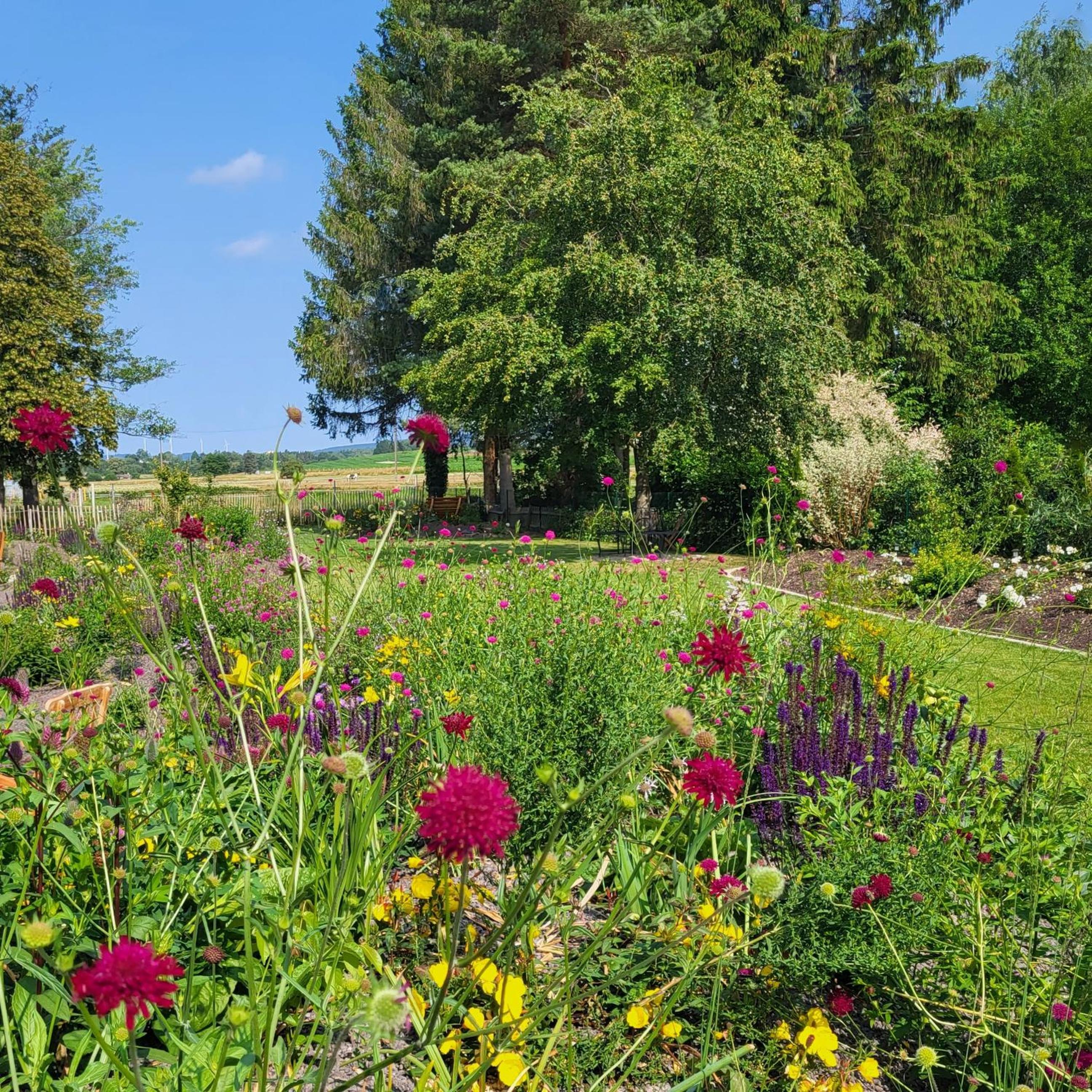 Komfort Ferienwohnungen mit Wellness-Garten - Gästehaus am Bachlauf - Losheim am See