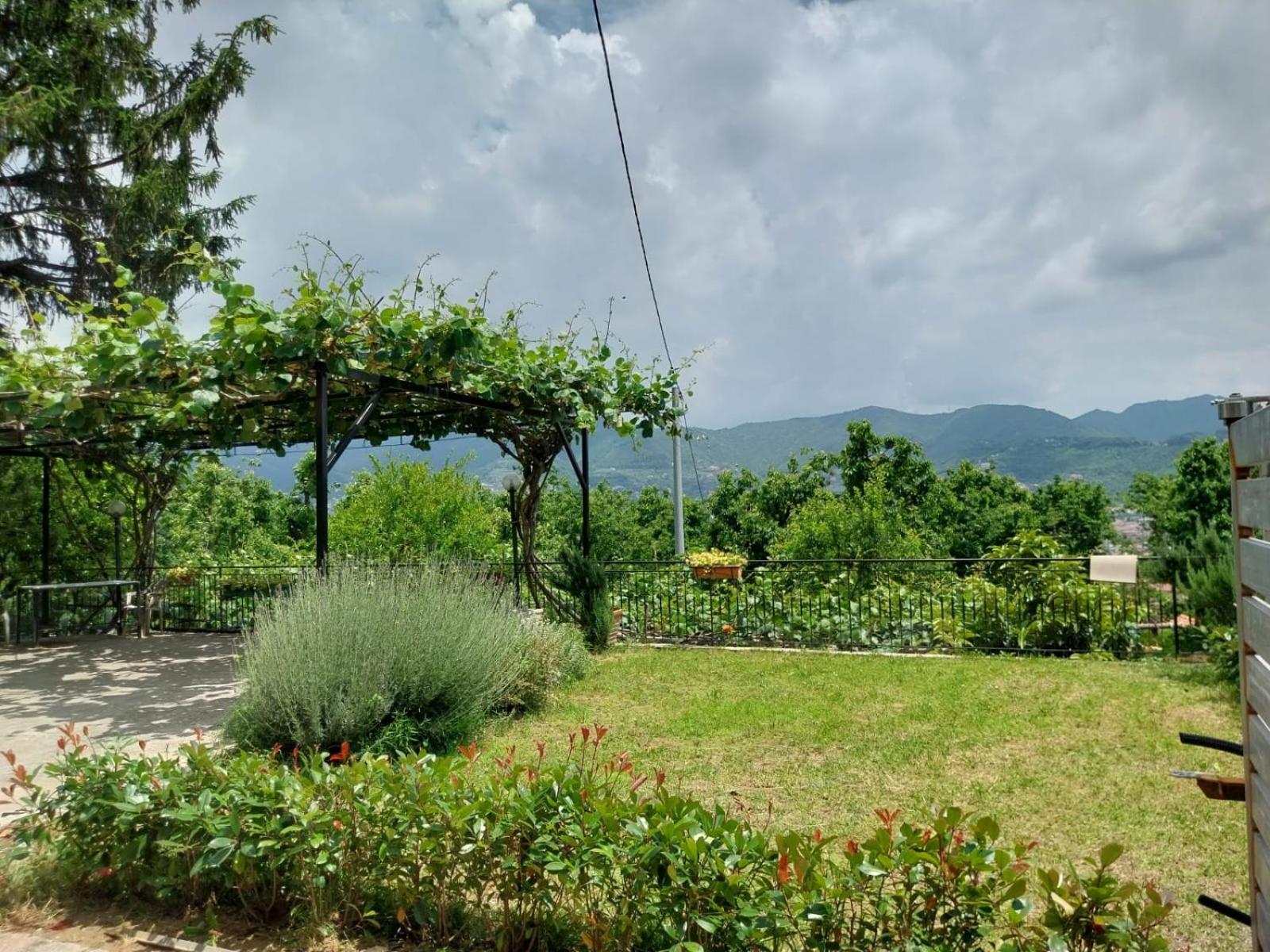 Lanovella