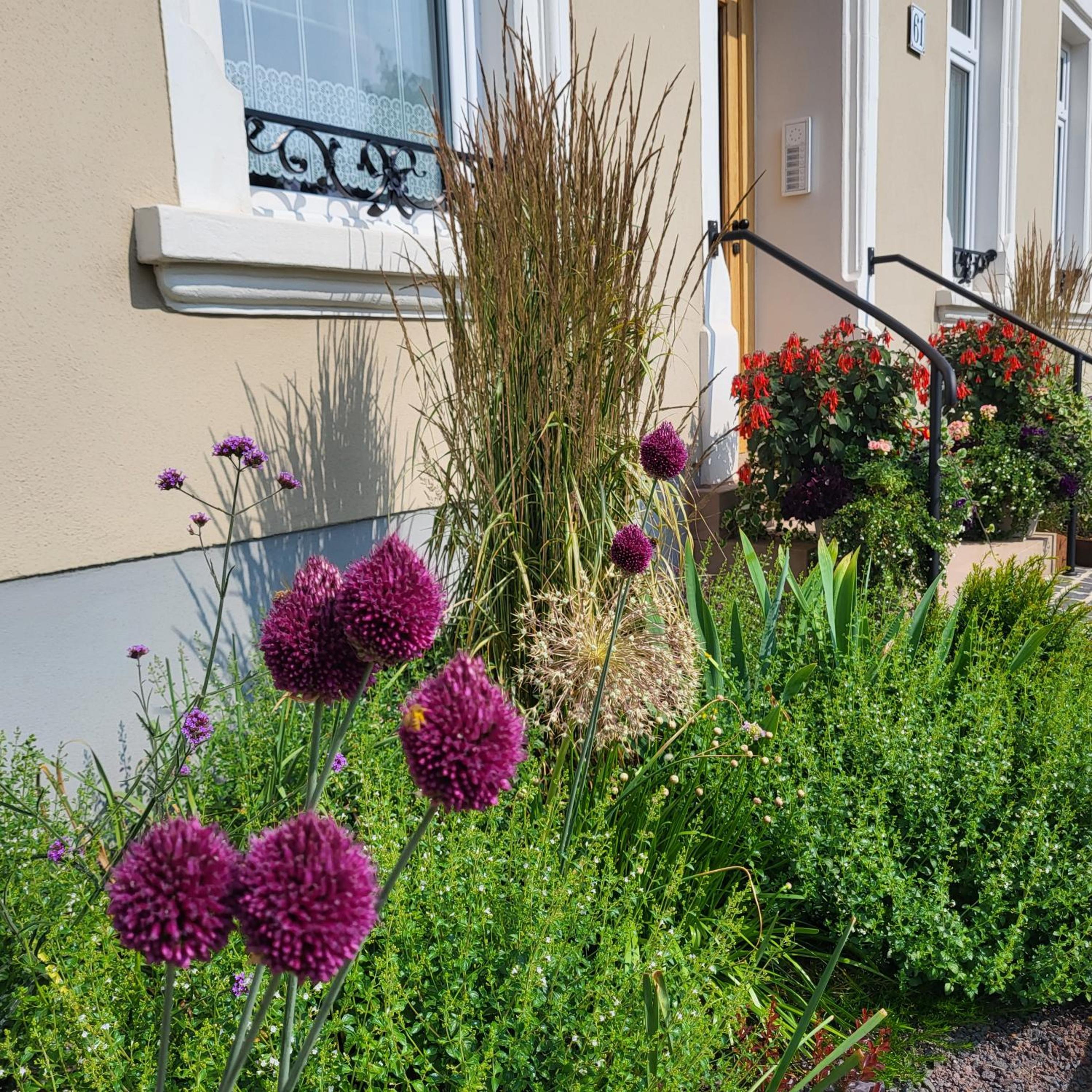 Komfort Ferienwohnungen mit Wellness-Garten - Gästehaus am Bachlauf - Losheim am See