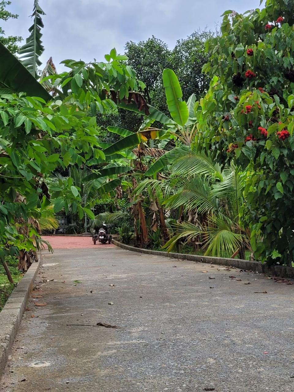 LUNAPIENA RESORTS view 5