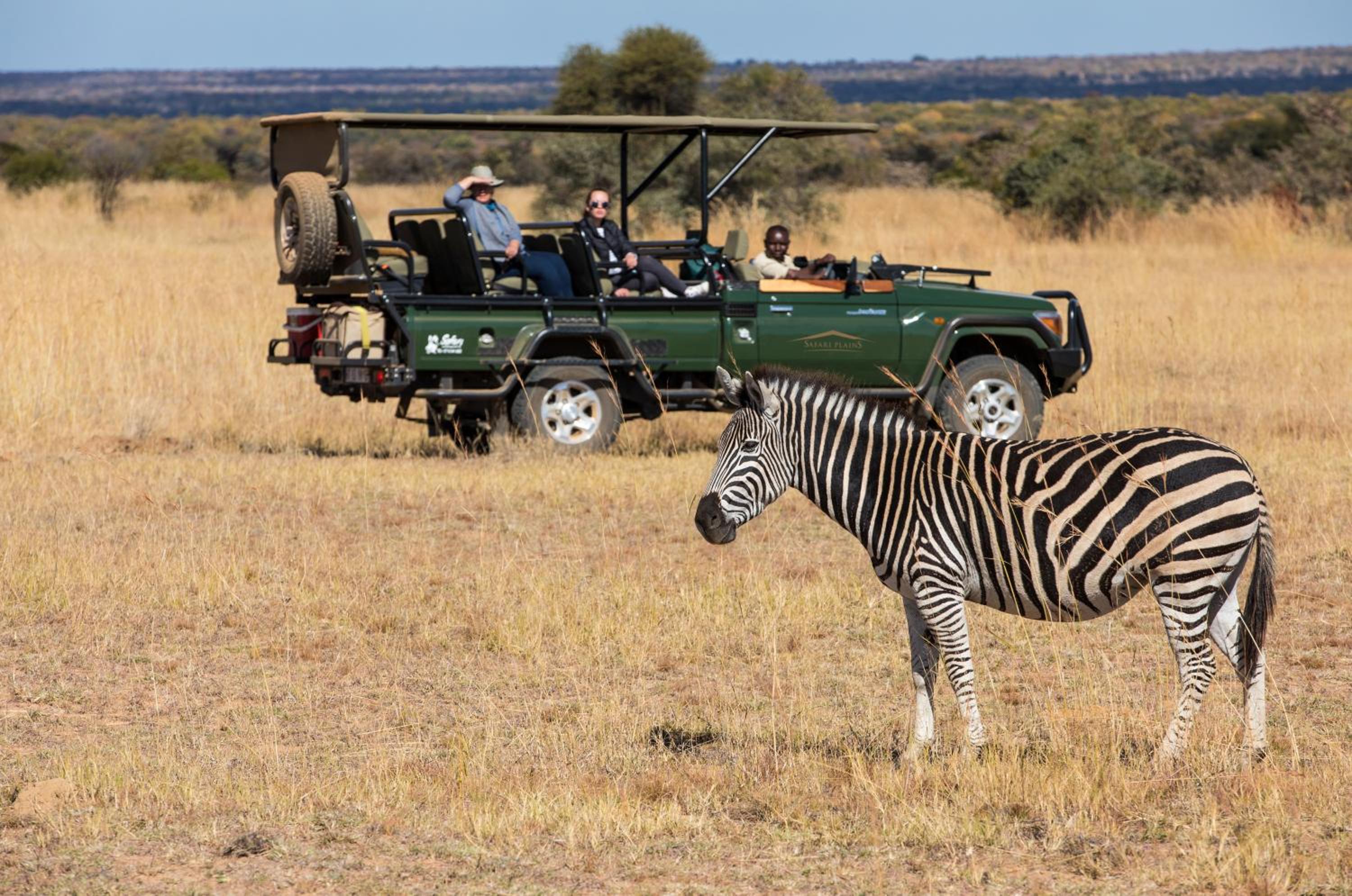 Safari Plains