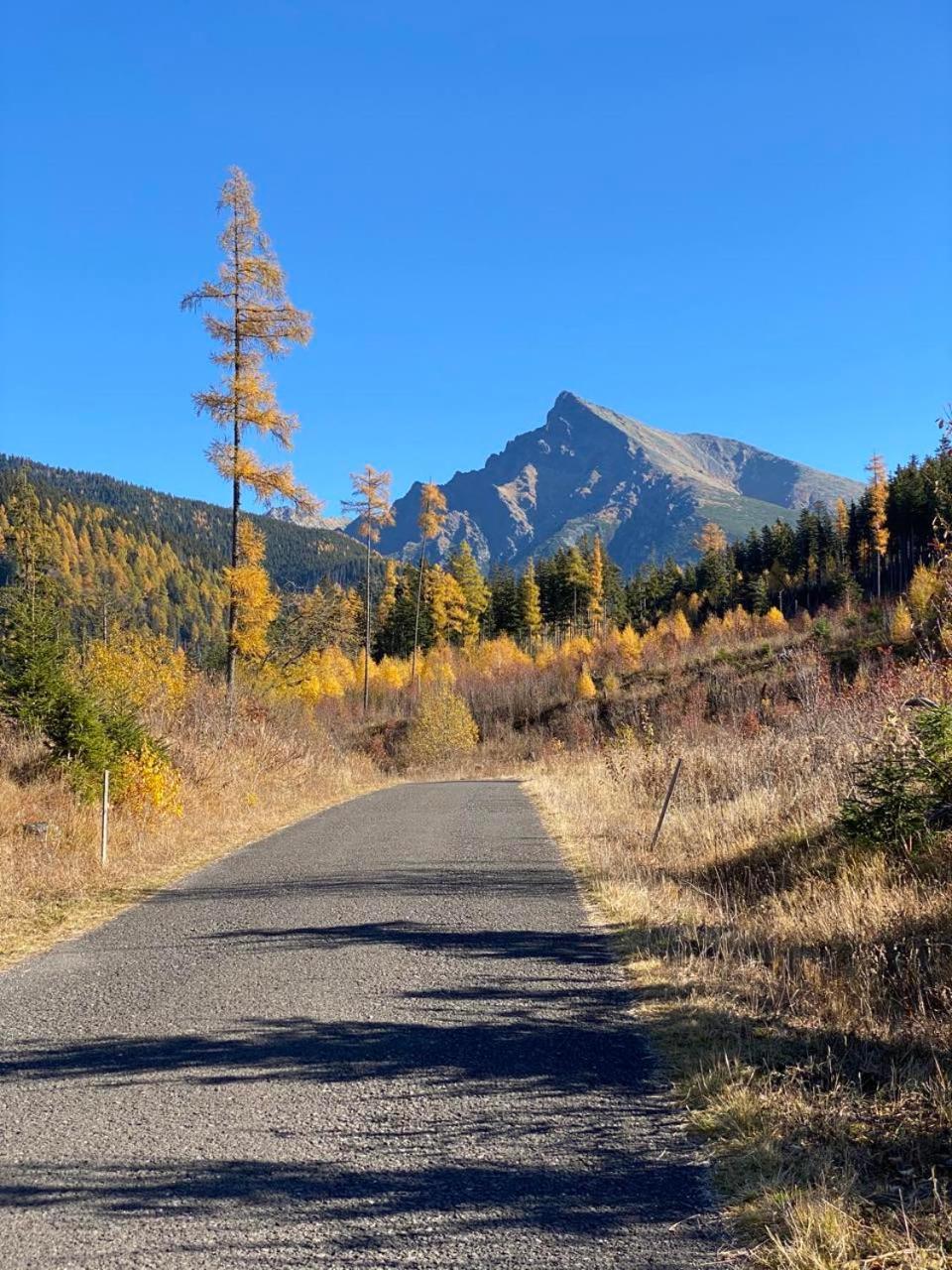 Tatras view 5