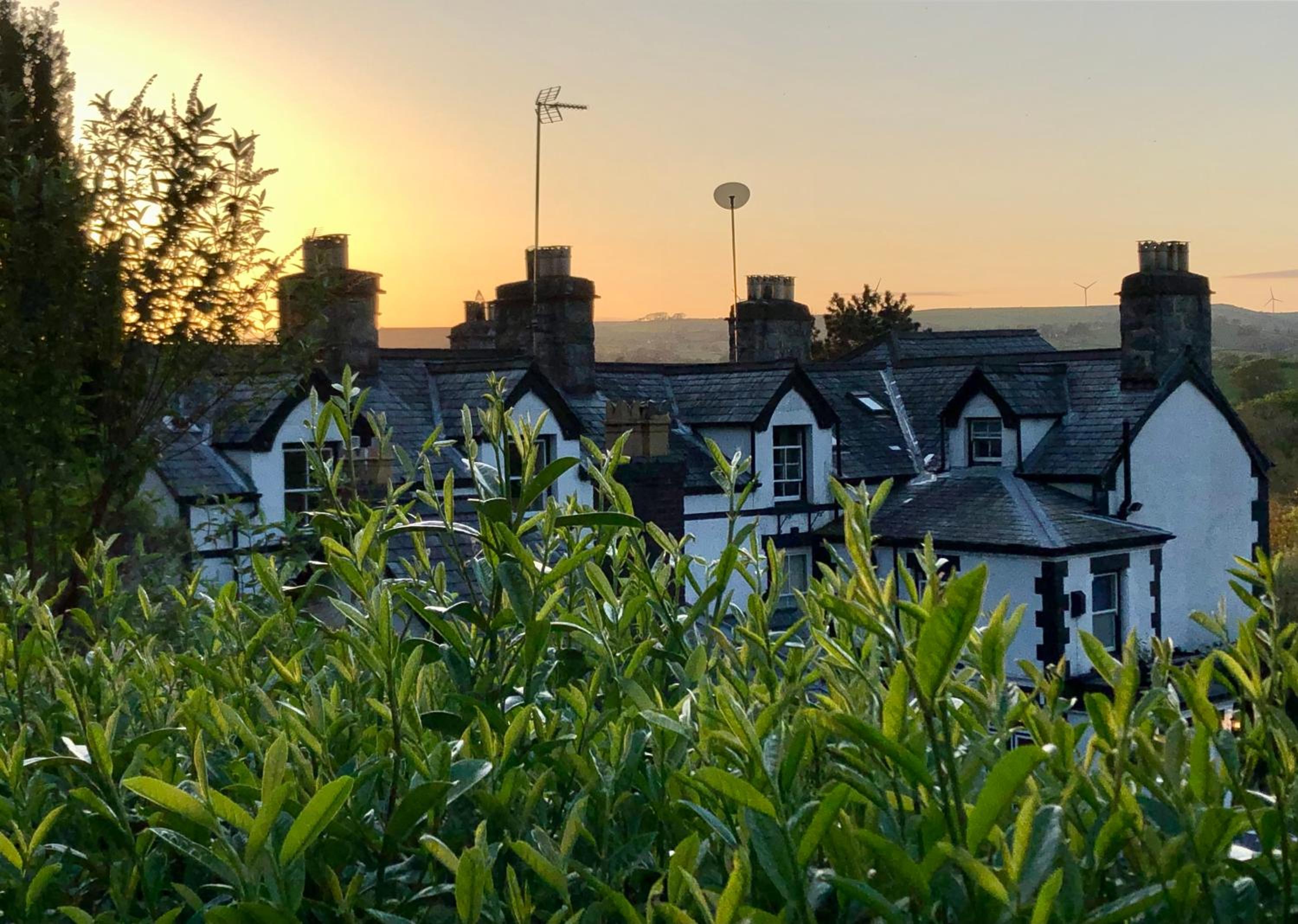 Bron-Y-Graig