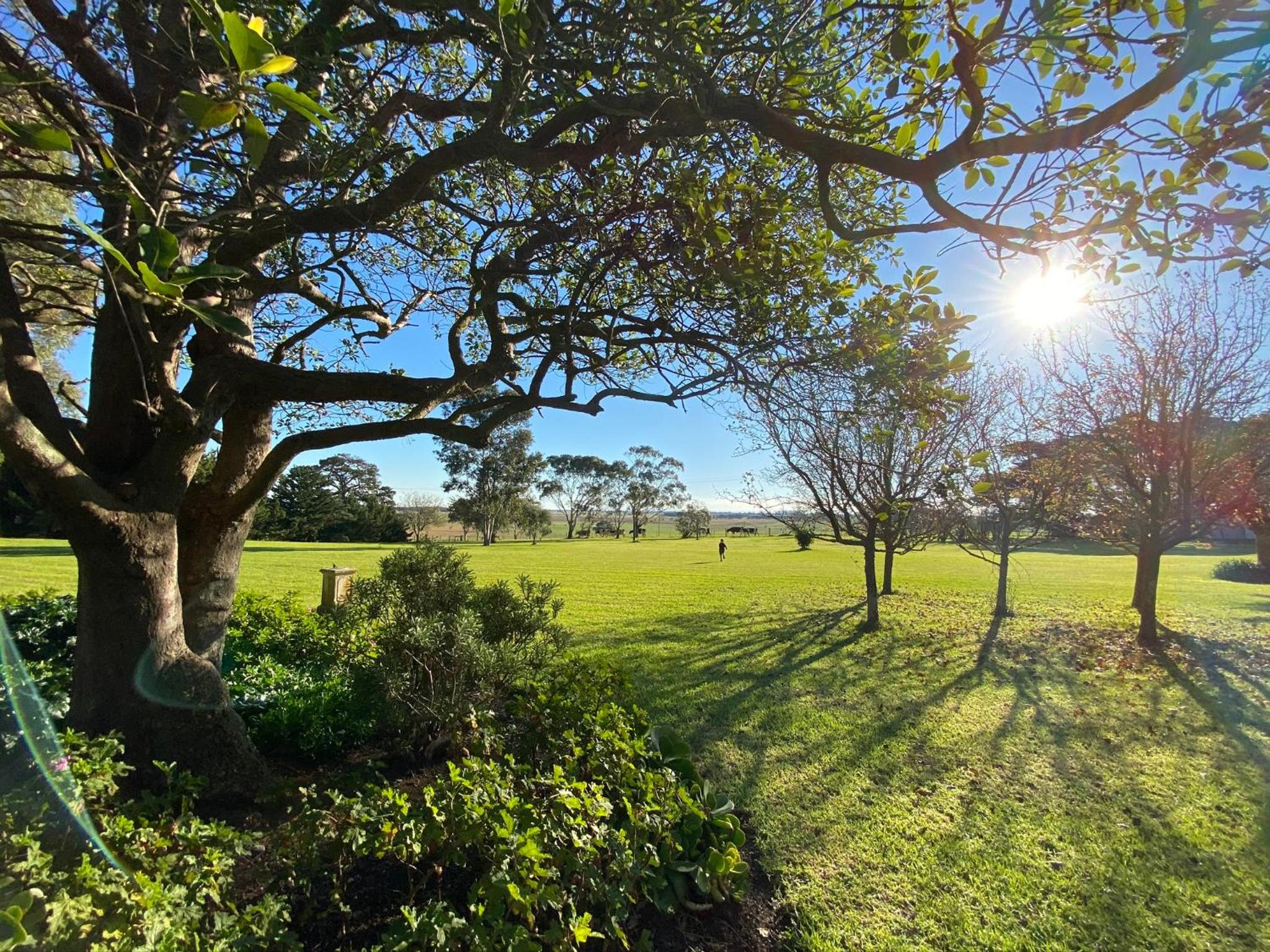 Kilmany Park Estate
