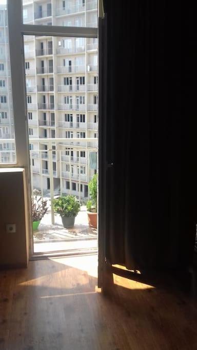 One bedroom apartment for rent view 2