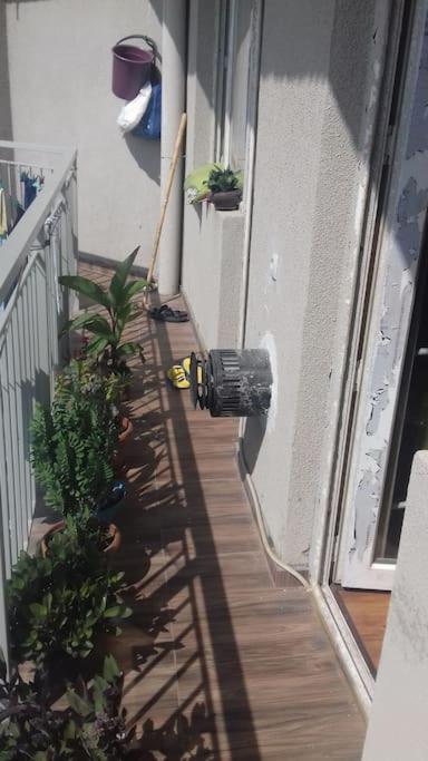 One bedroom apartment for rent view 4