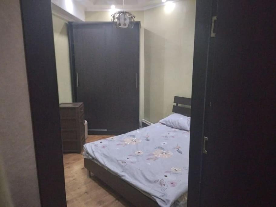 One bedroom apartment for rent view 5