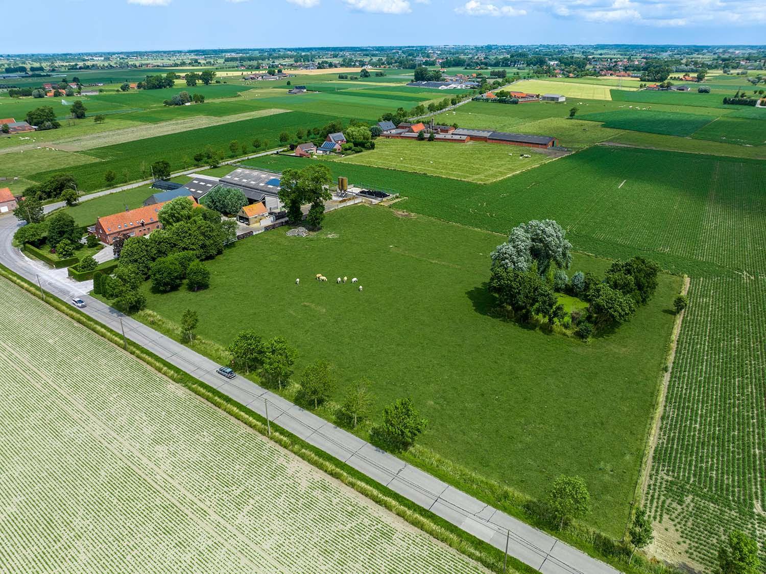 Hulstehof