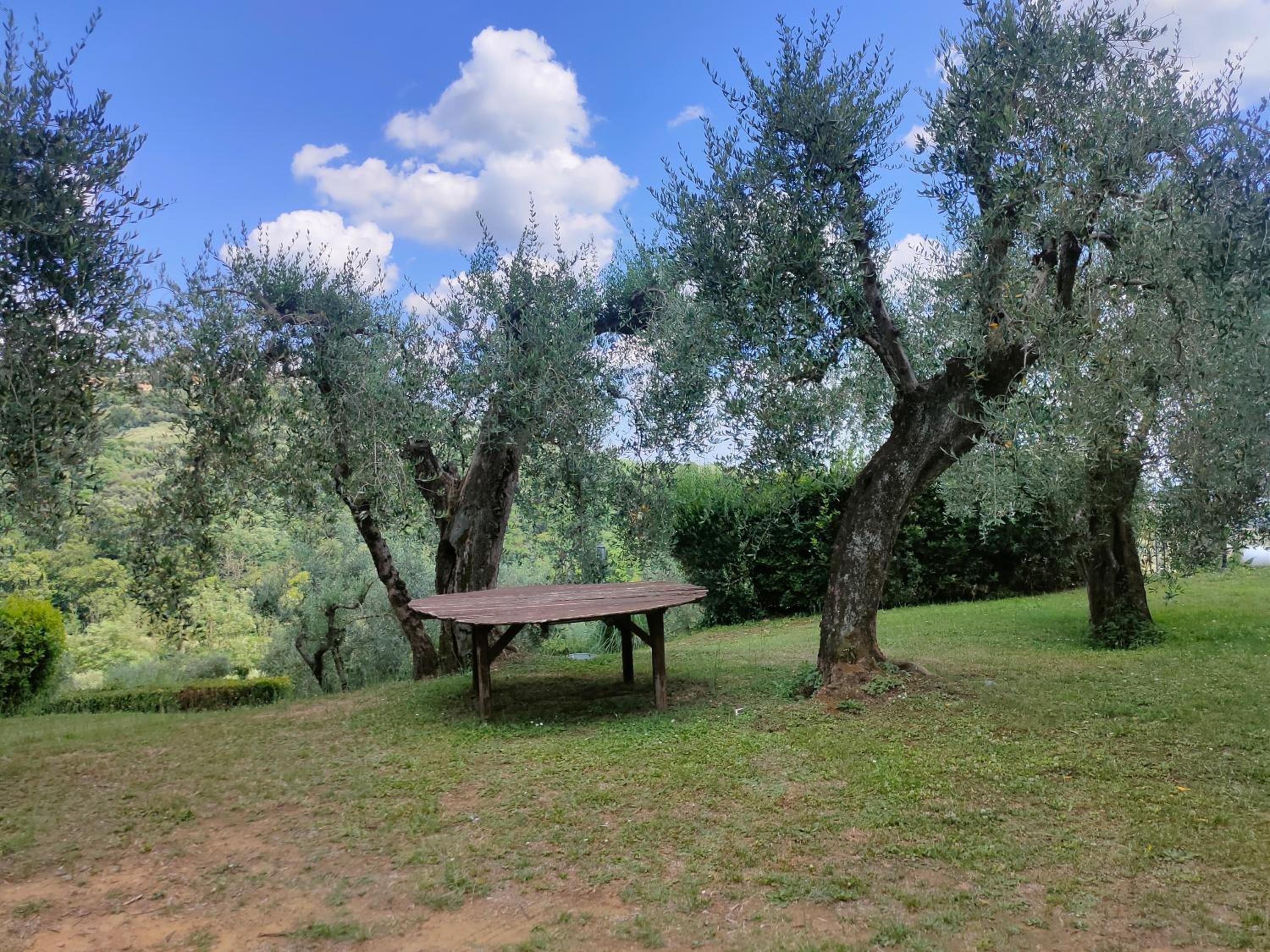 Collina Toscana Agriturismo & Apartments