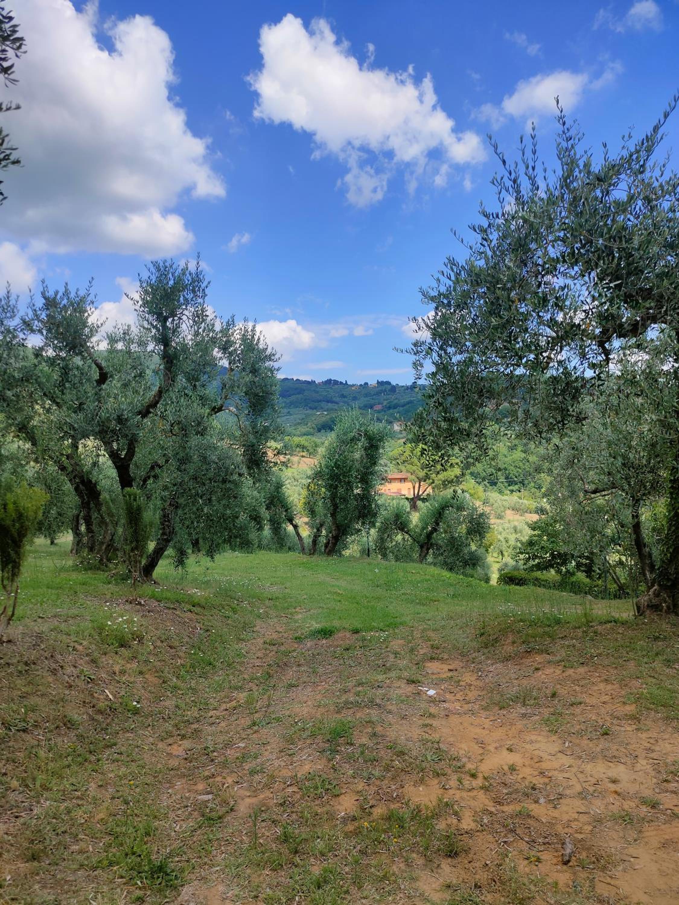Collina Toscana Agriturismo & Apartments