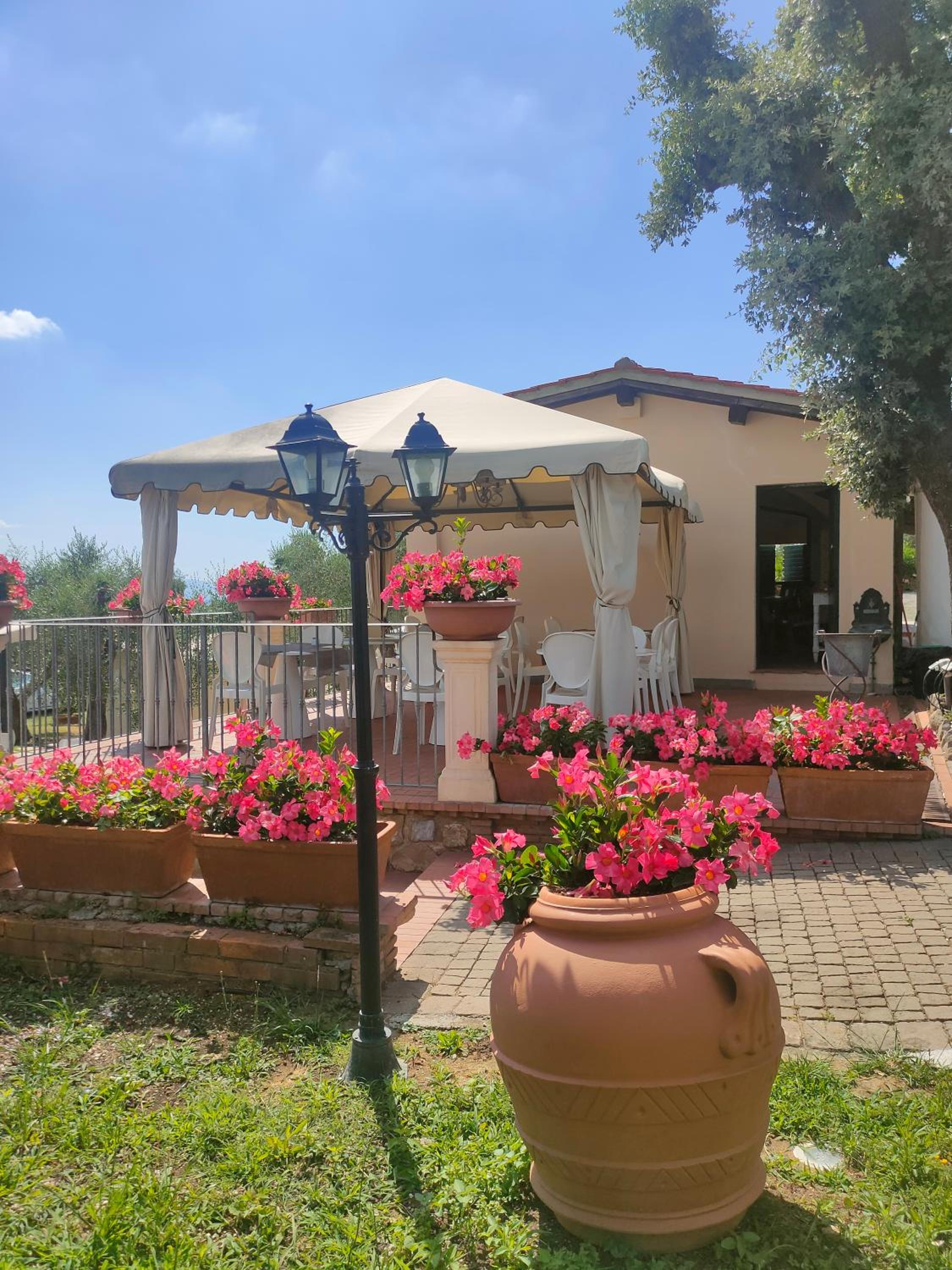 Collina Toscana Agriturismo & Apartments