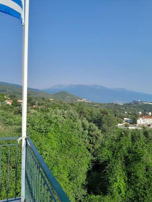 Villa Nestor