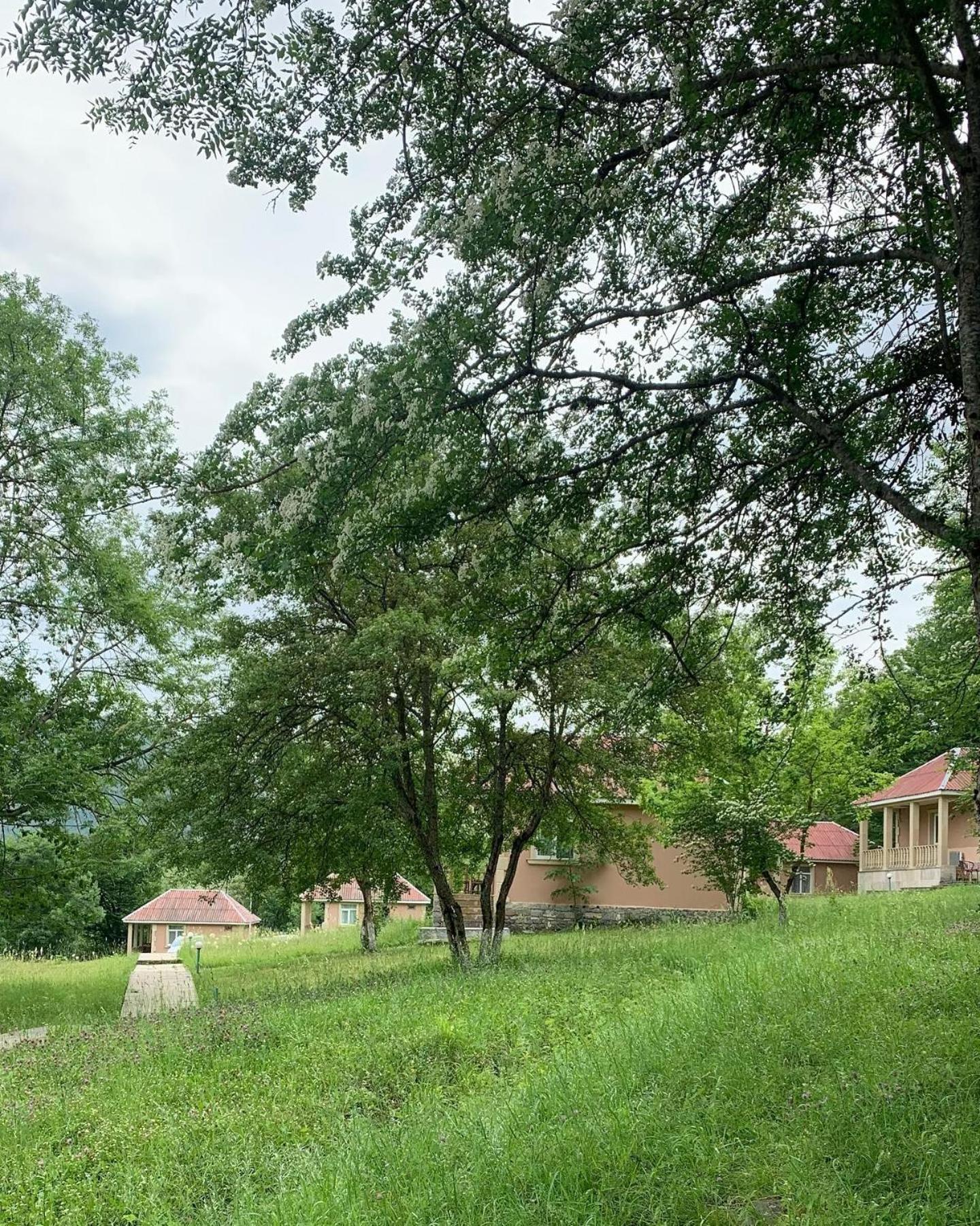 Grand Village