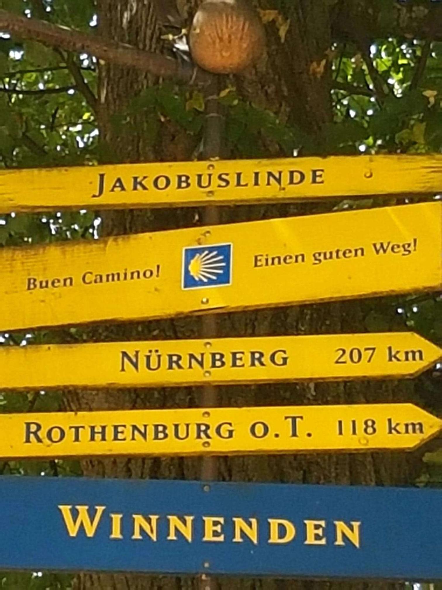 Szafranzimmervermmitung