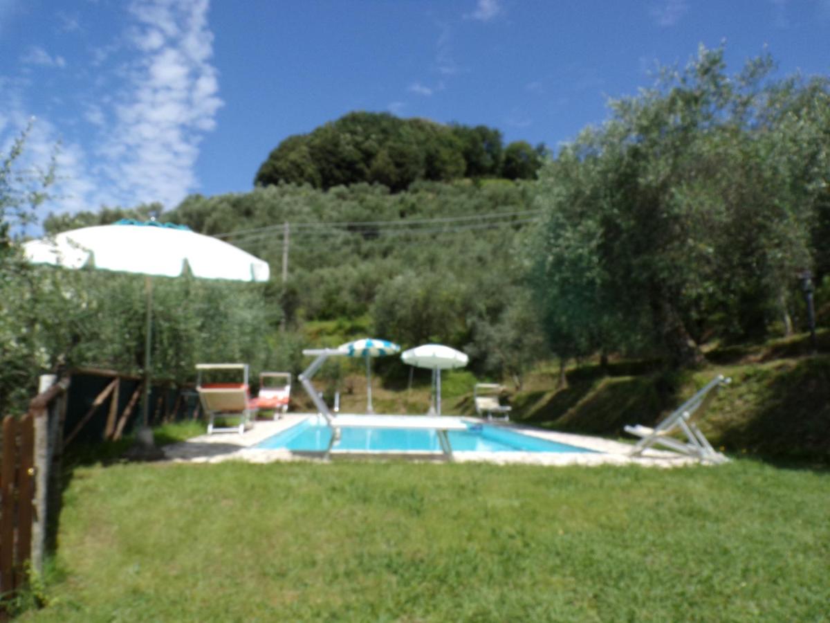 Photo 45