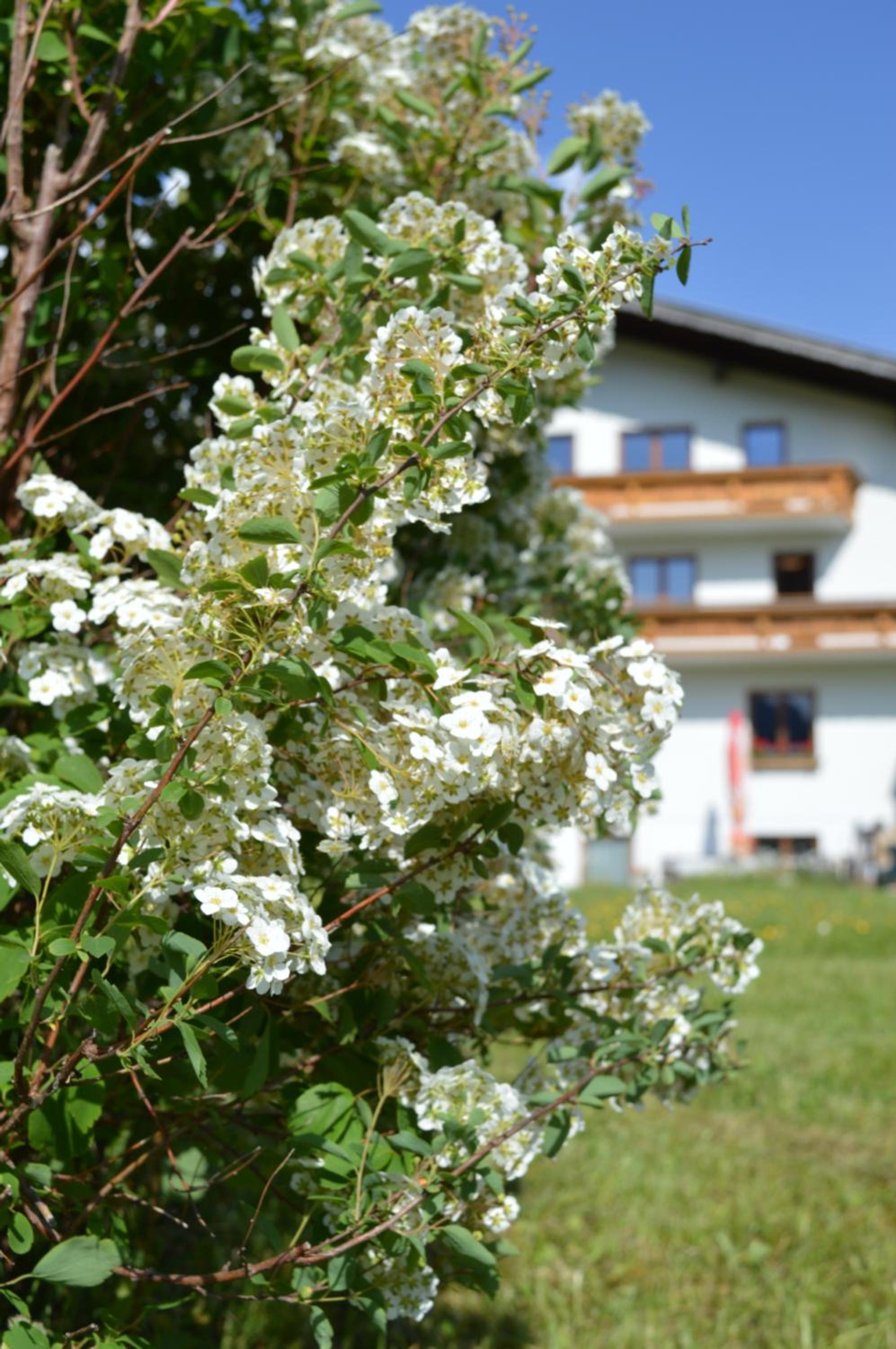 Bergkristall B&B