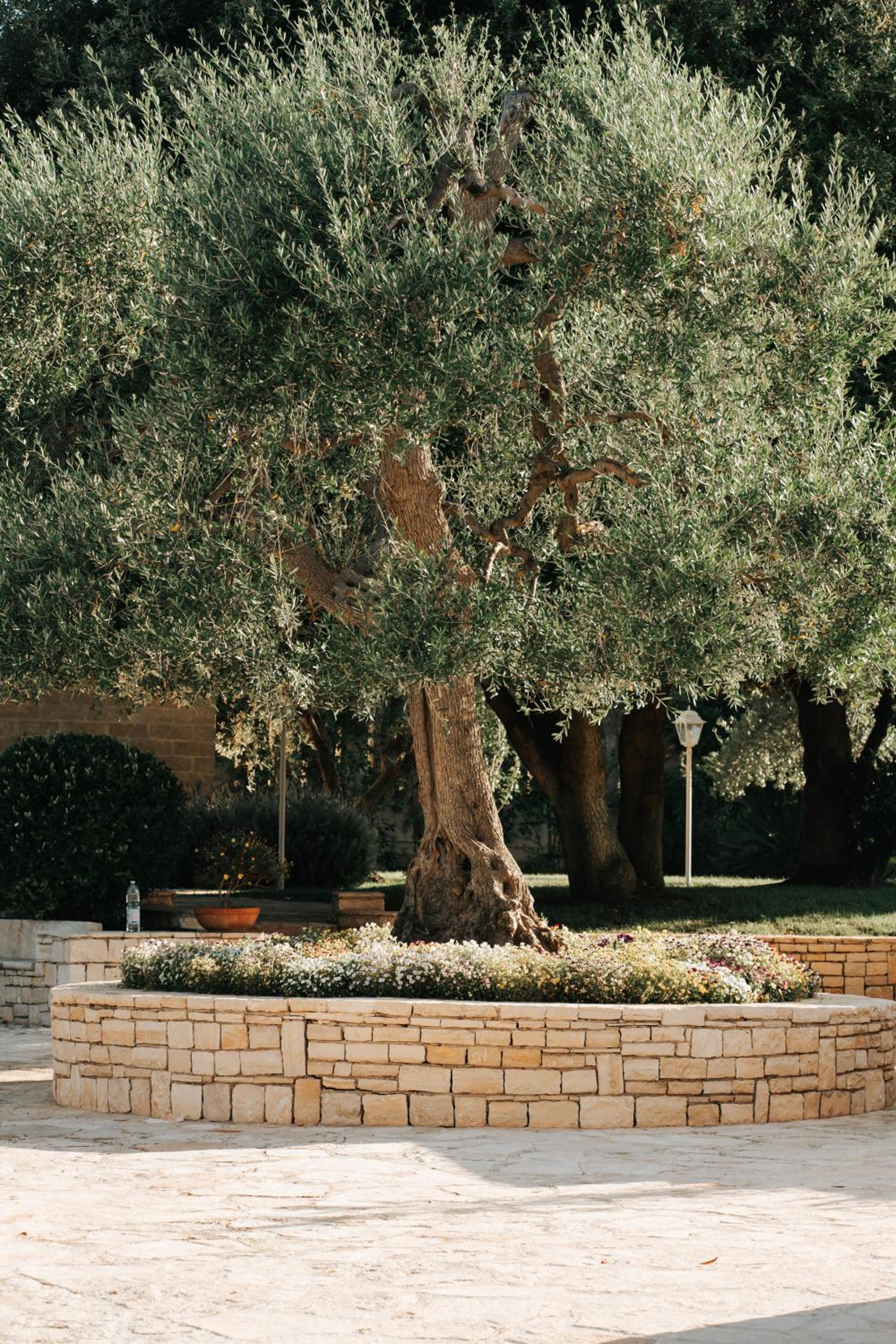 Photo 48