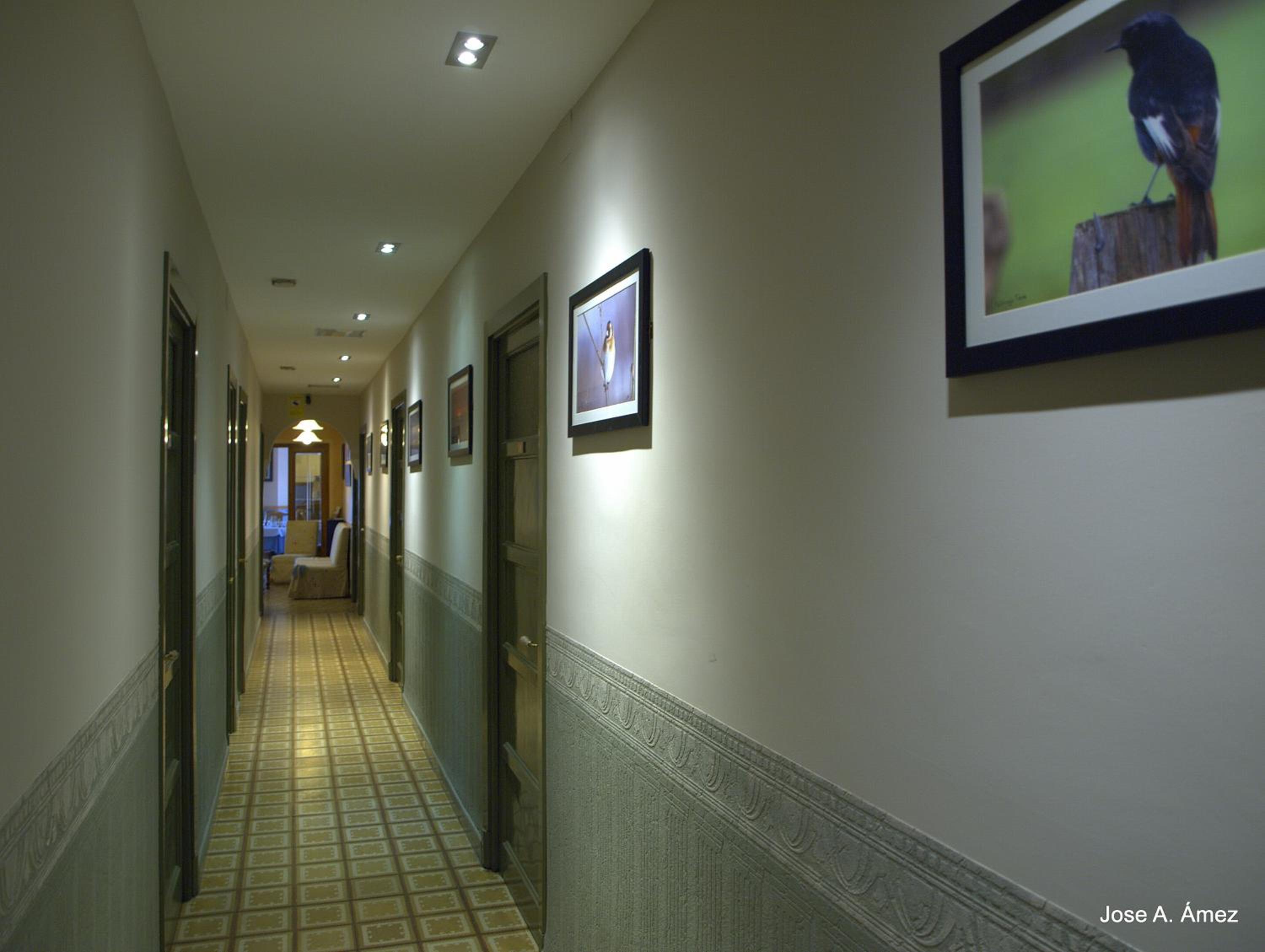 Hostal Orejas
