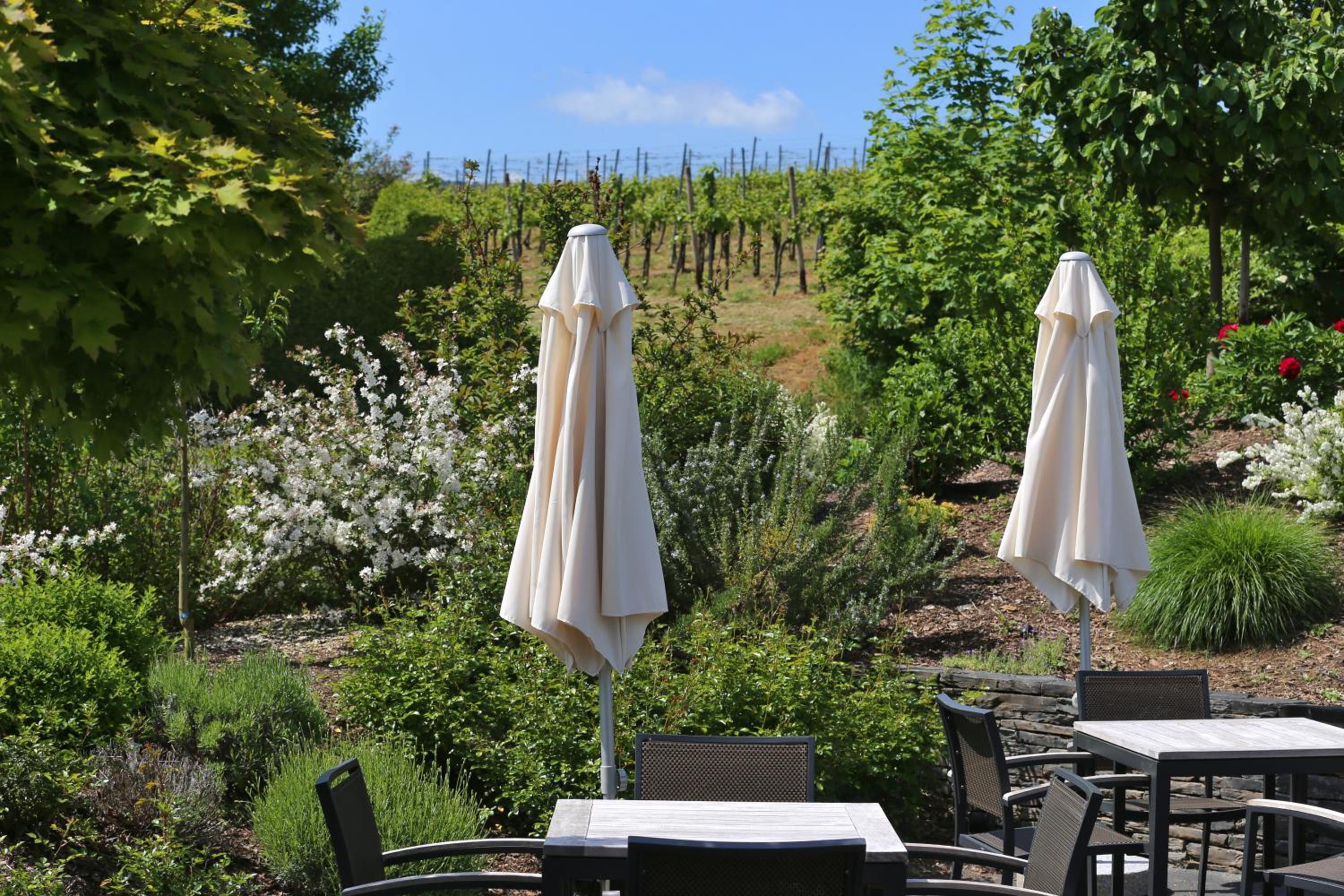 Ernst Clüsserath Weingut & Weinhotelchen view 5