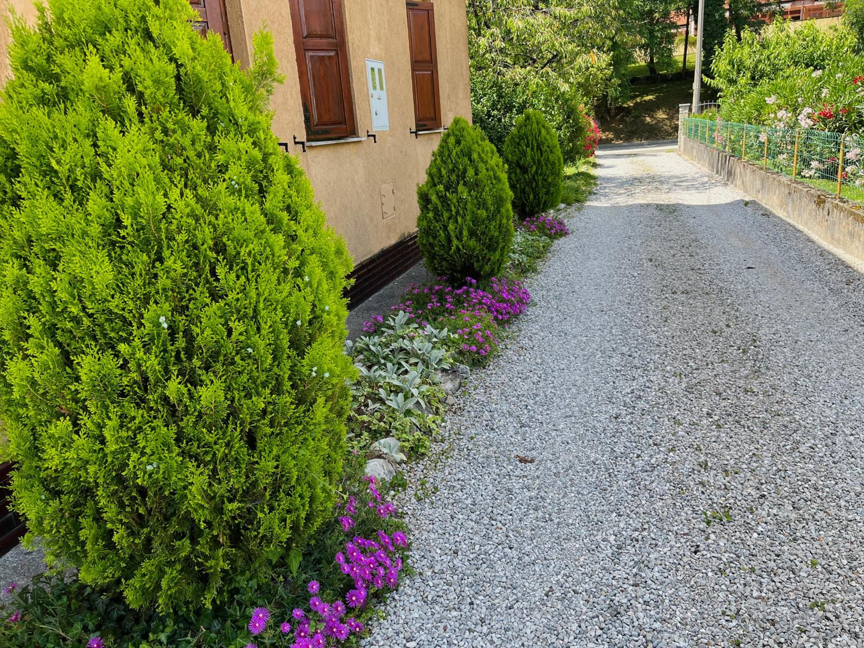 Photo 42