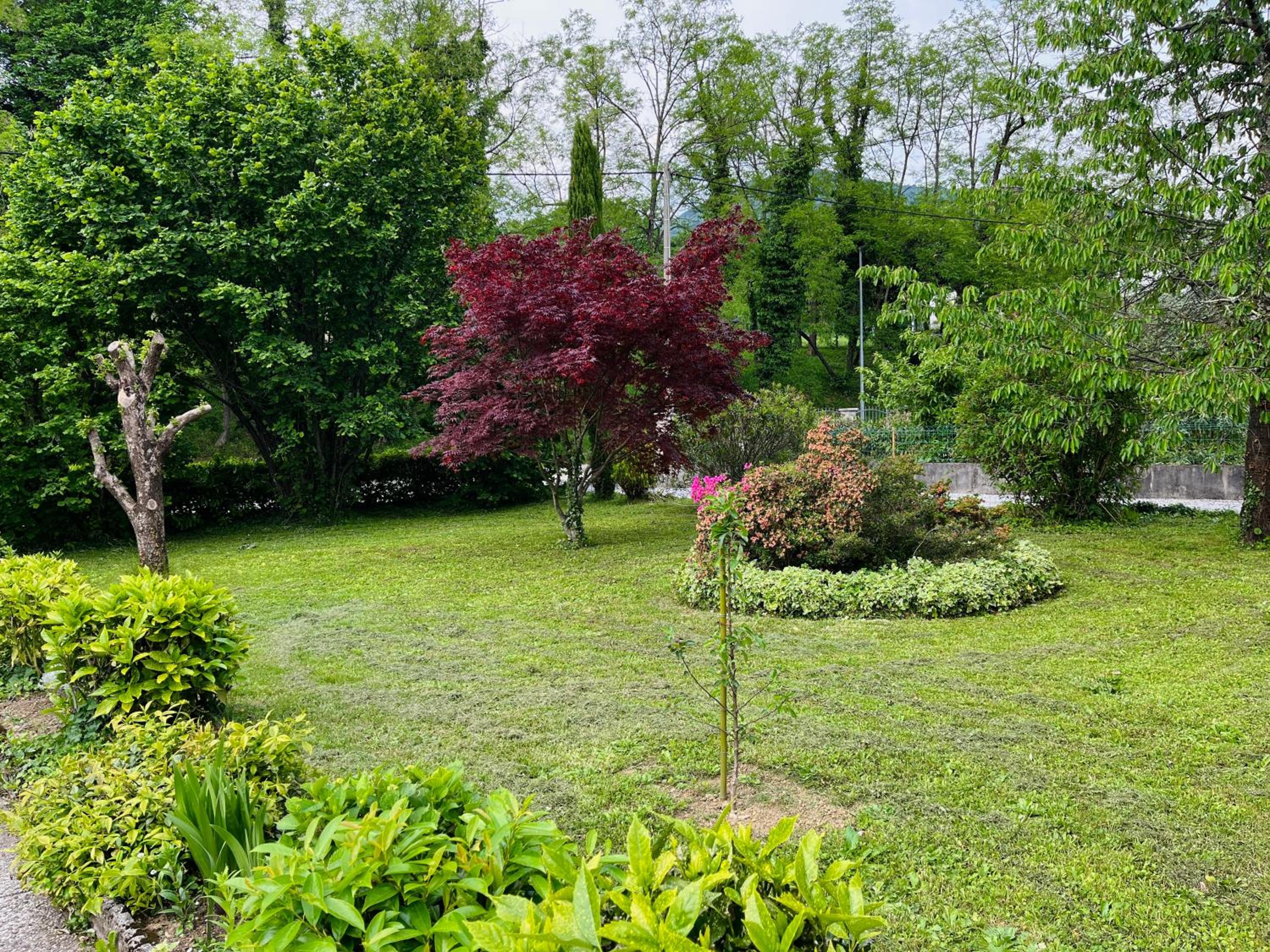 Studio Apartma Olive, Nova Gorica, Slovenia view 5