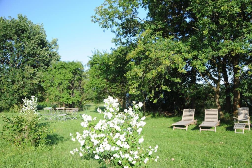 Romantisches Studio am Waldesrand mit Gartensauna