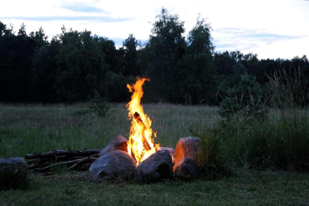 Romantisches Studio am Waldesrand mit Gartensauna