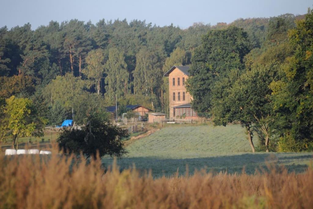 Romantisches Studio am Waldesrand mit Gartensauna