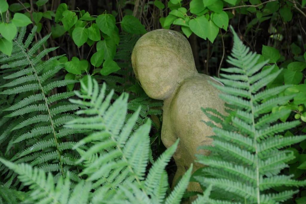 Romantisches Studio am Waldesrand mit Gartensauna