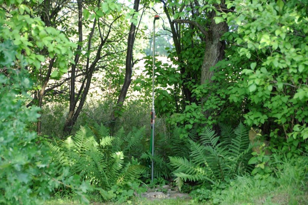 Romantisches Studio am Waldesrand mit Gartensauna