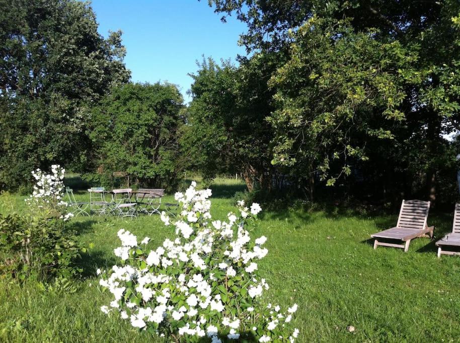 Romantisches Studio am Waldesrand mit Gartensauna