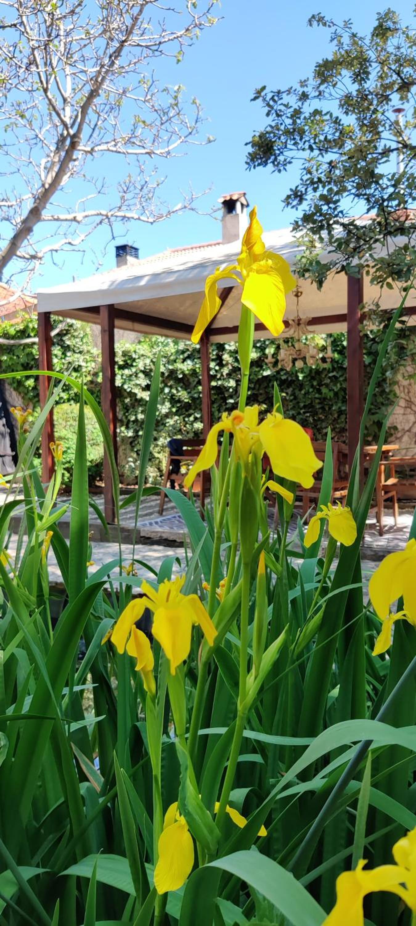 Viento de Ladera Casa Rural con piscina cubierta