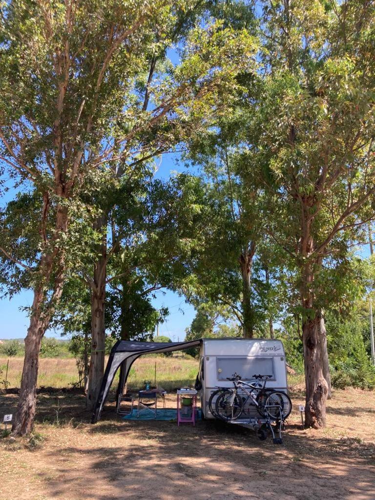 outdoor BBQ area